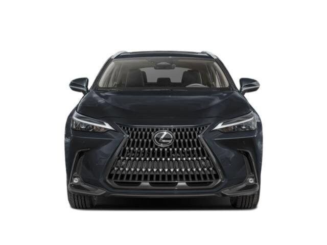 2026 Lexus NX 350 photo 4