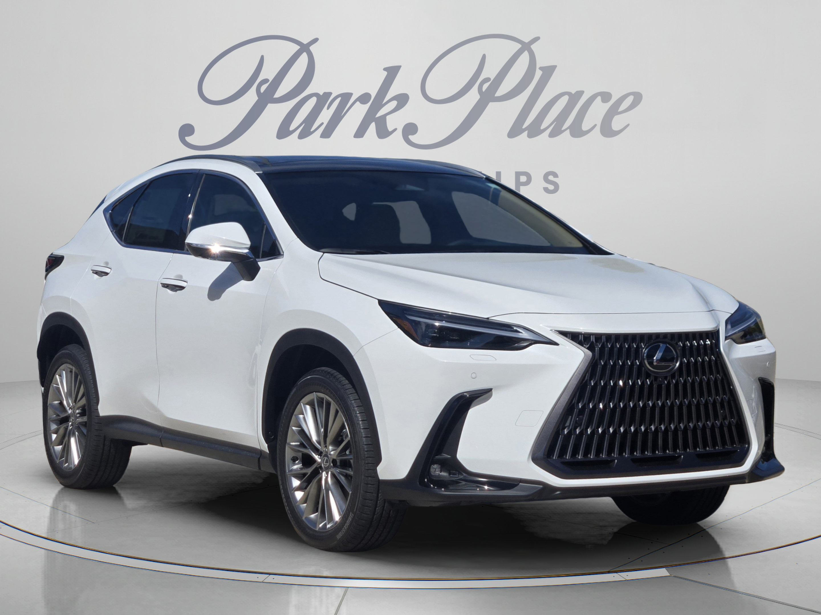 New 2026 Lexus NX 350 Luxury Sport Utility