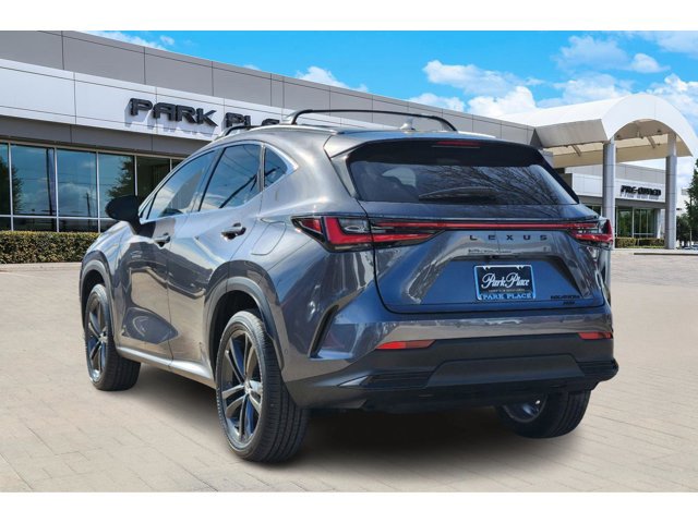 2025 Lexus NX 450h+ Luxury photo 4