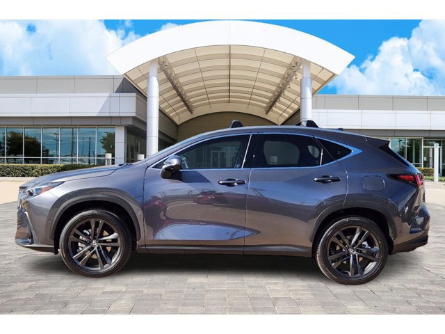 2025 Lexus NX 450h+ Luxury photo 3