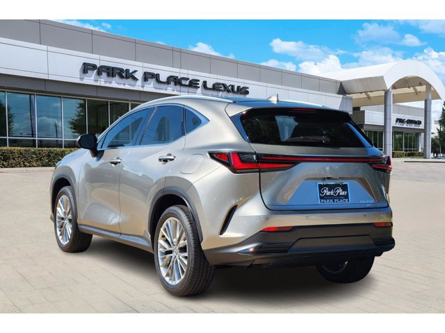 2026 Lexus NX Luxury photo 4