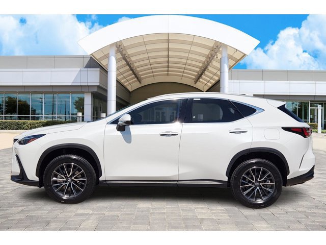 2026 Lexus NX 350 photo 2