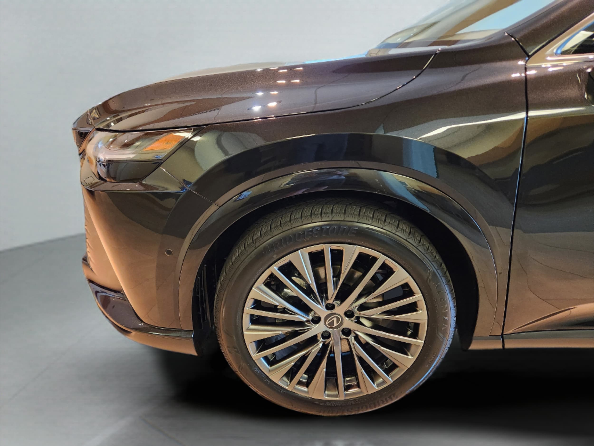 2026 Lexus RX 450h+ Luxury - Photo 20