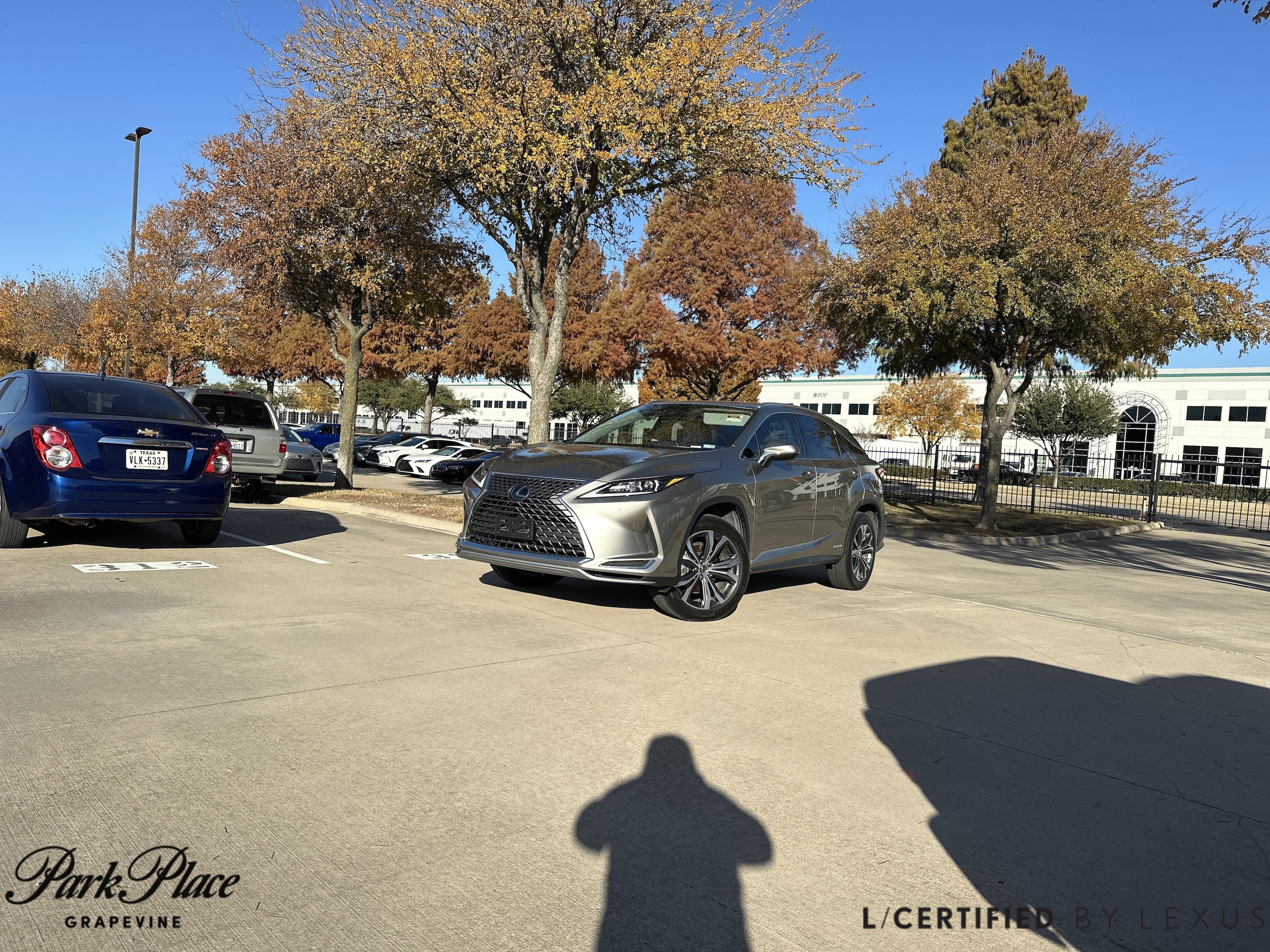 2020 Lexus RX Hybrid 450h's photo