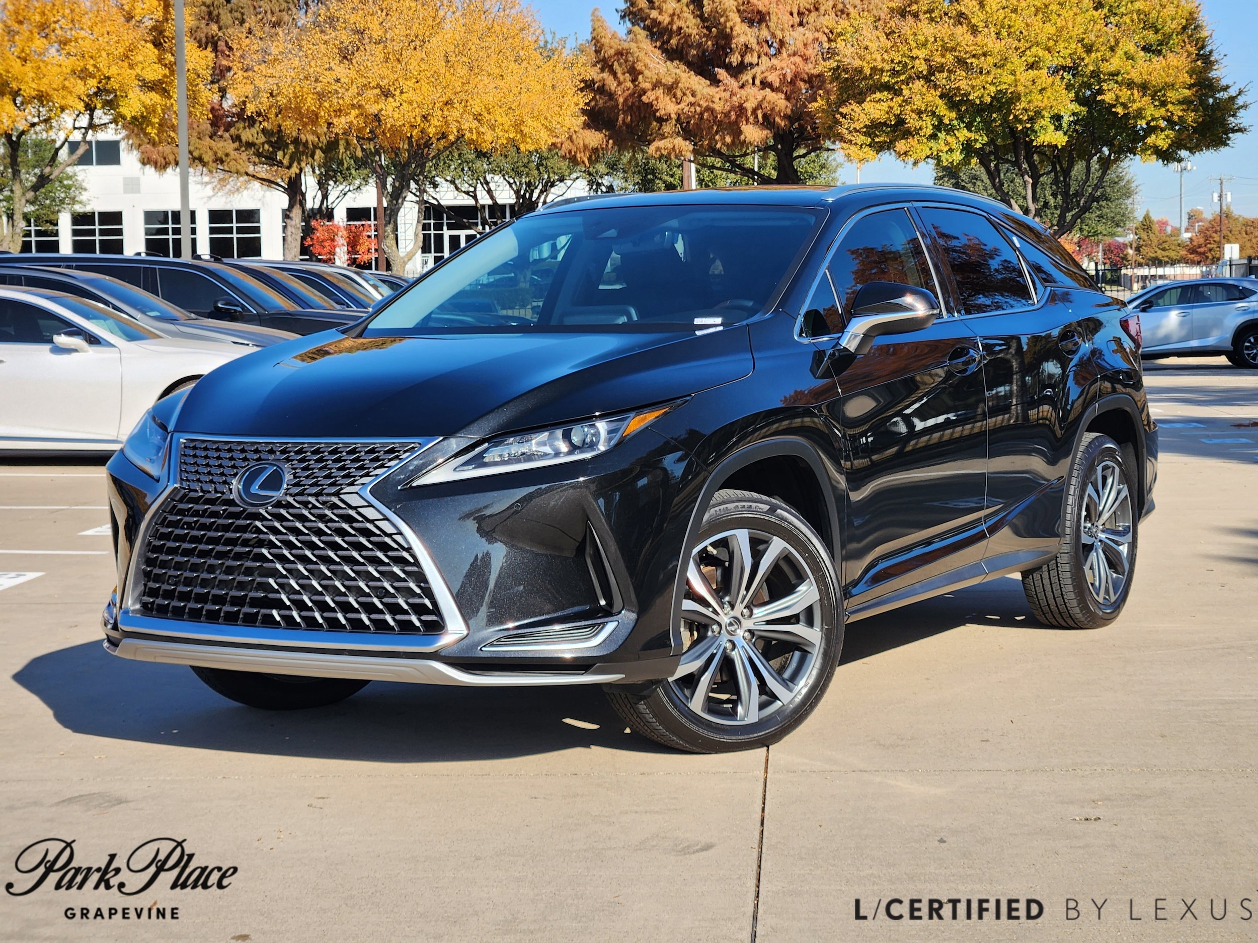 2021 Lexus RX 350's photo