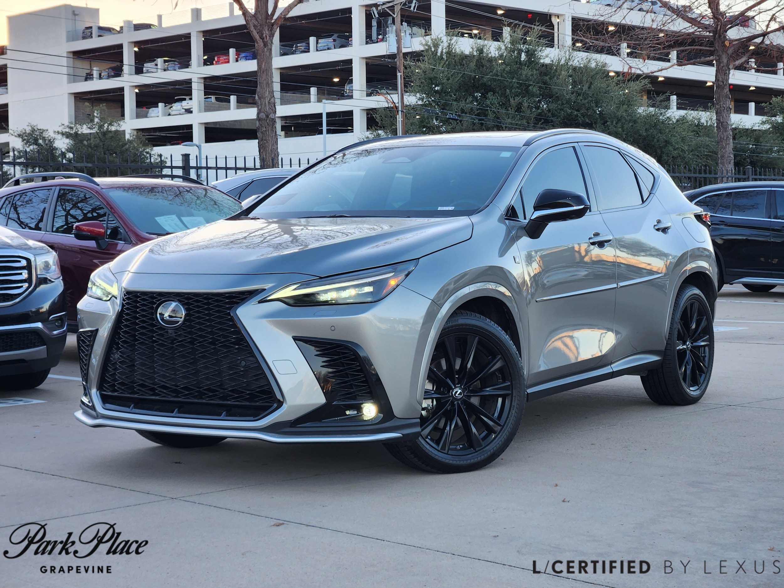 2023 Lexus NX PHEV 450h+'s photo