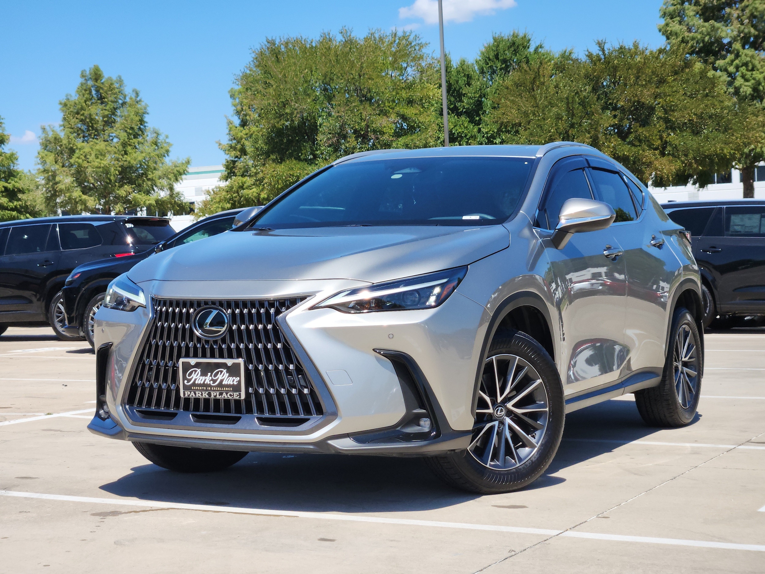 2025 Lexus NX