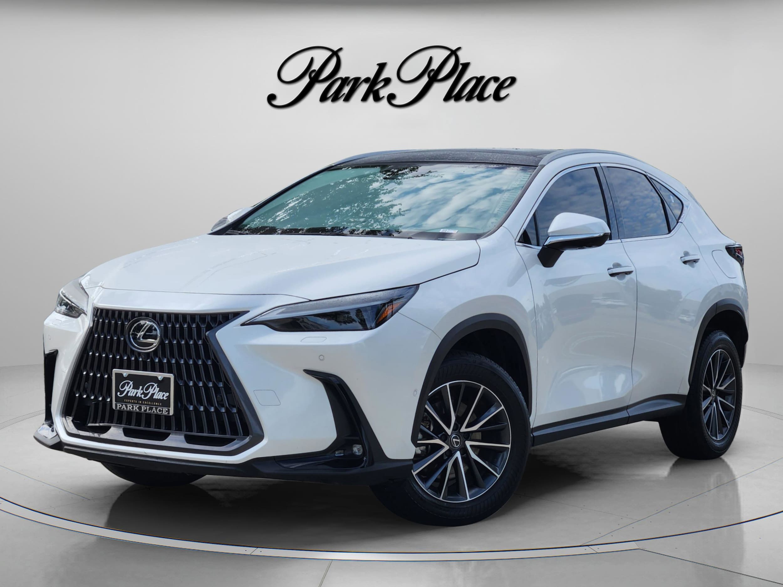 2024 Lexus NX 350h 350h Luxury AWD's photo