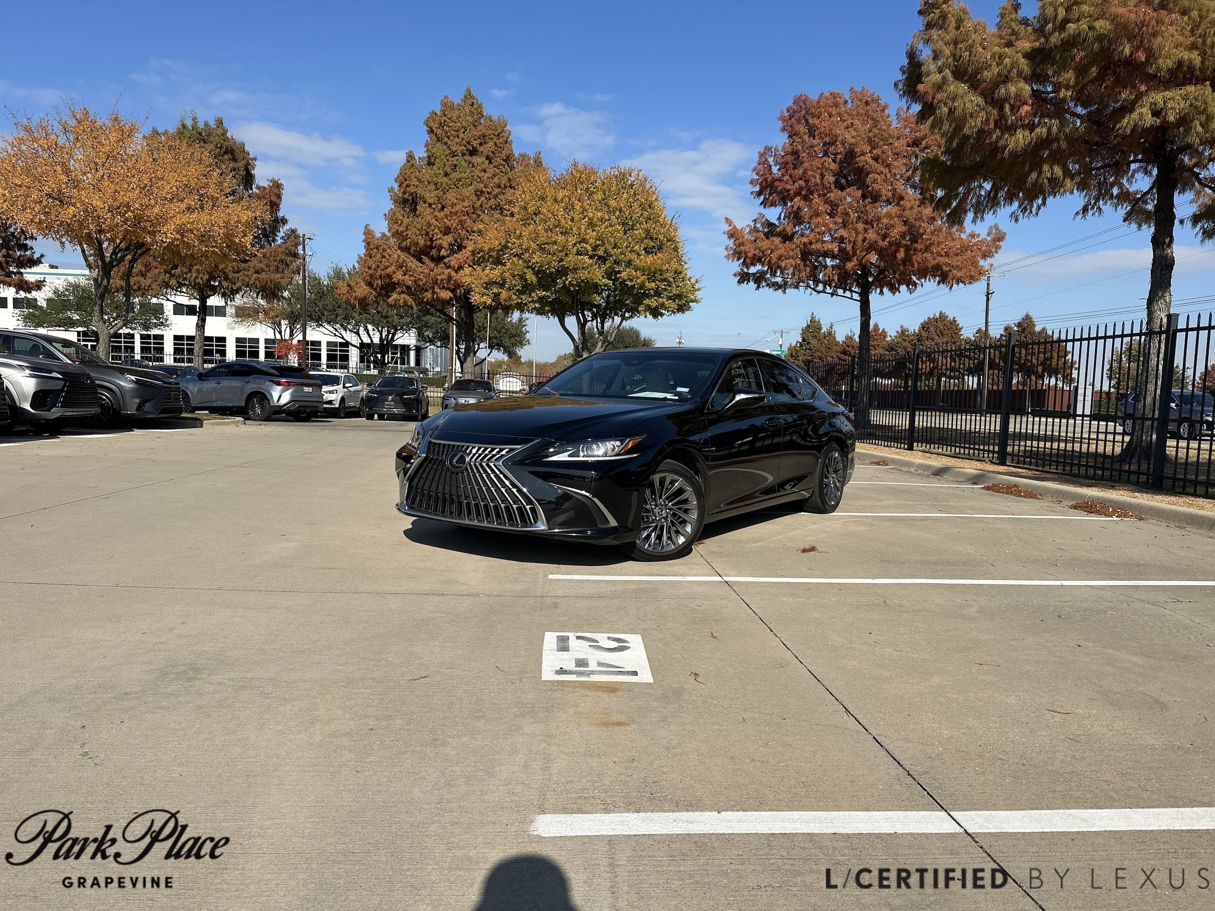 2024 Lexus ES 350 Luxury's photo