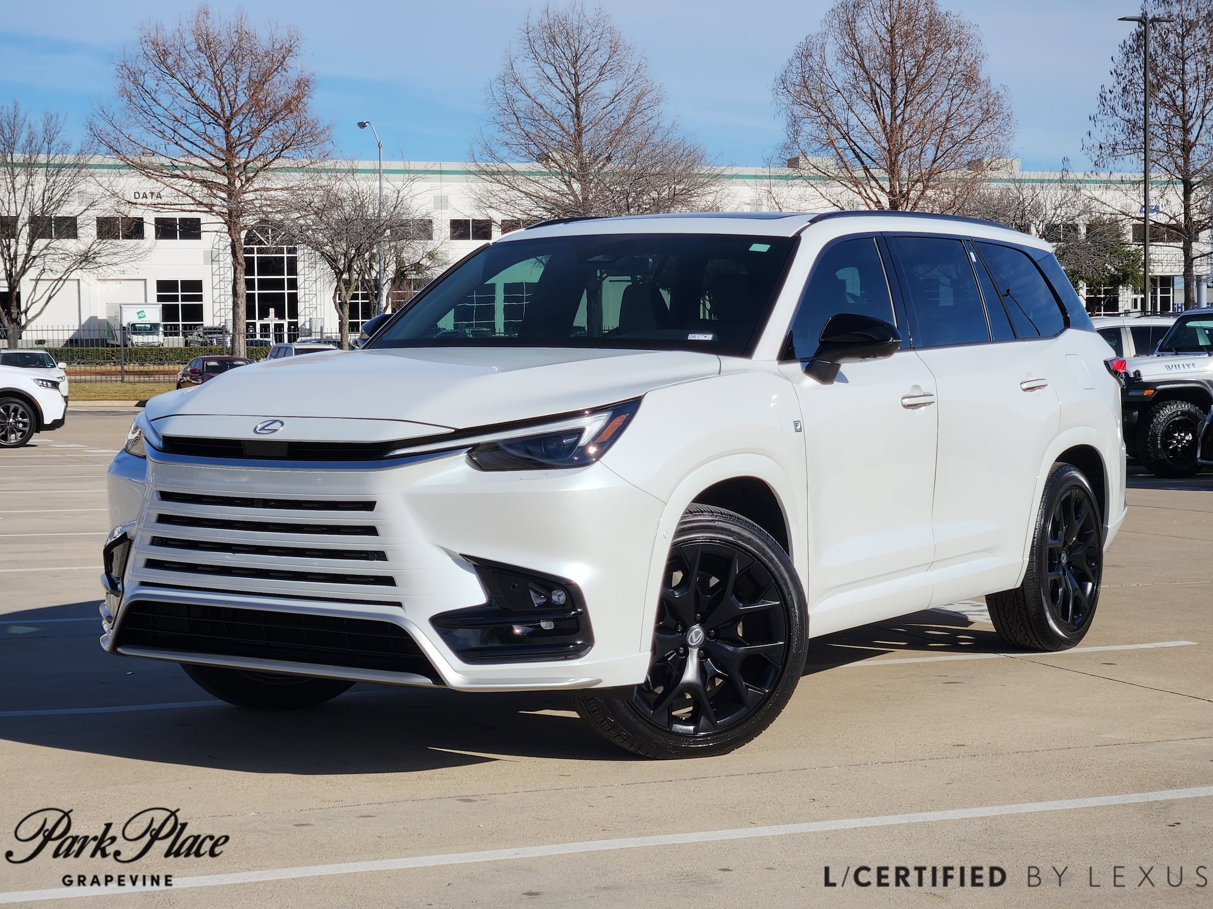 2026 Lexus TX F Sport's photo