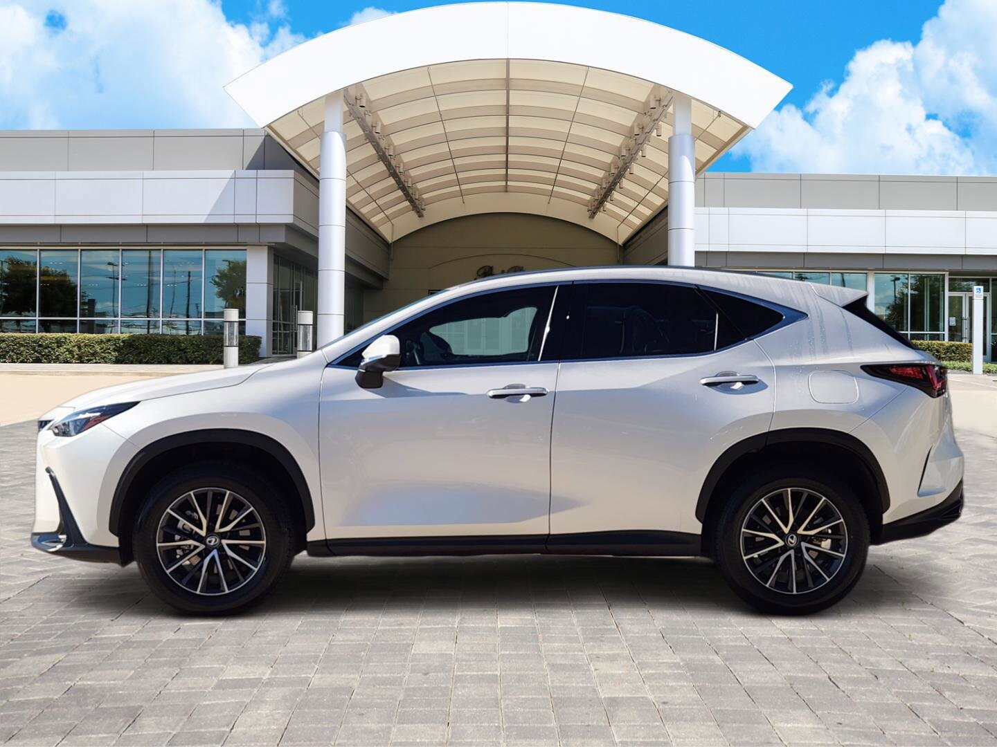 2025 Lexus NX 250 Premium photo 3