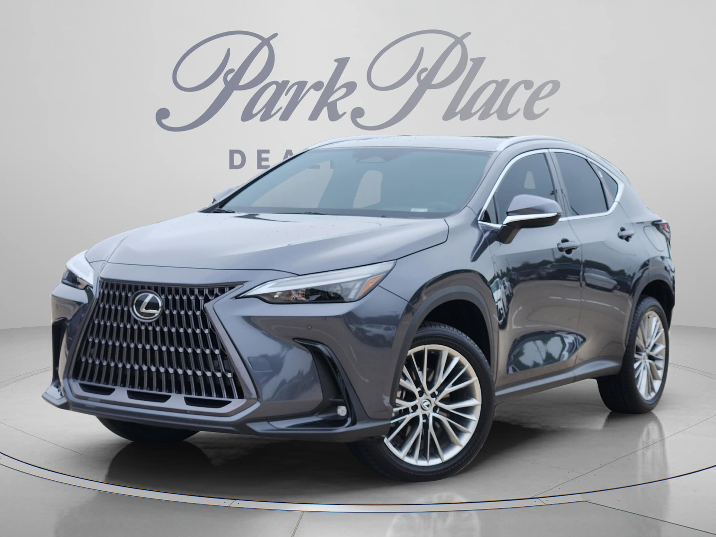 2025 Lexus NX 350 350 Premium AWD's photo