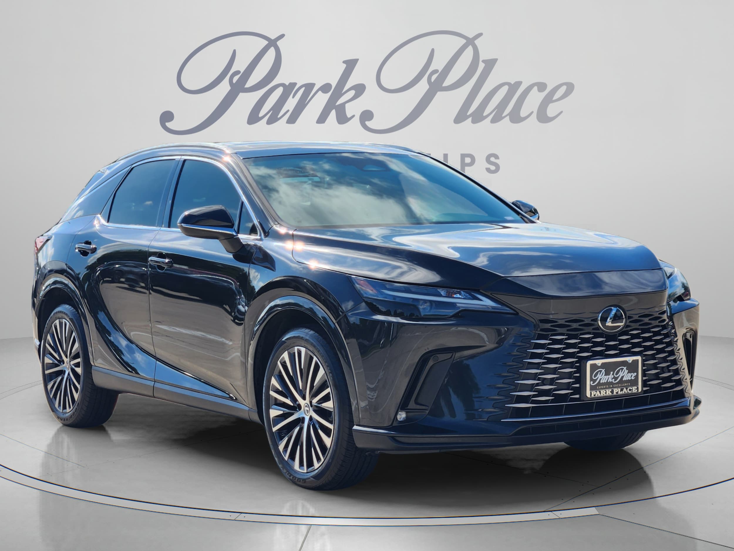 2023 Lexus RX 350 - Photo 7