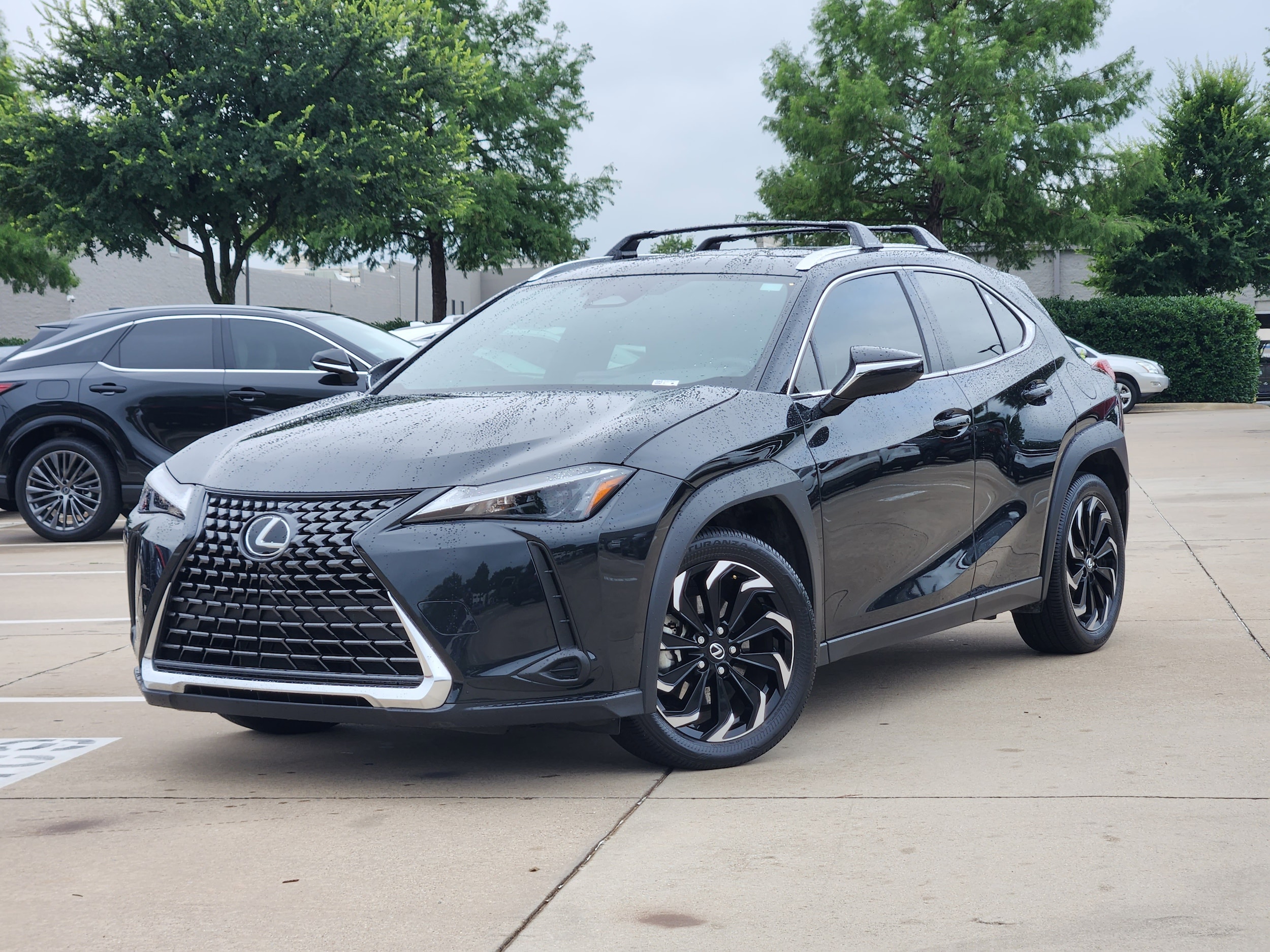 2025 Lexus UX 300h 300h's photo