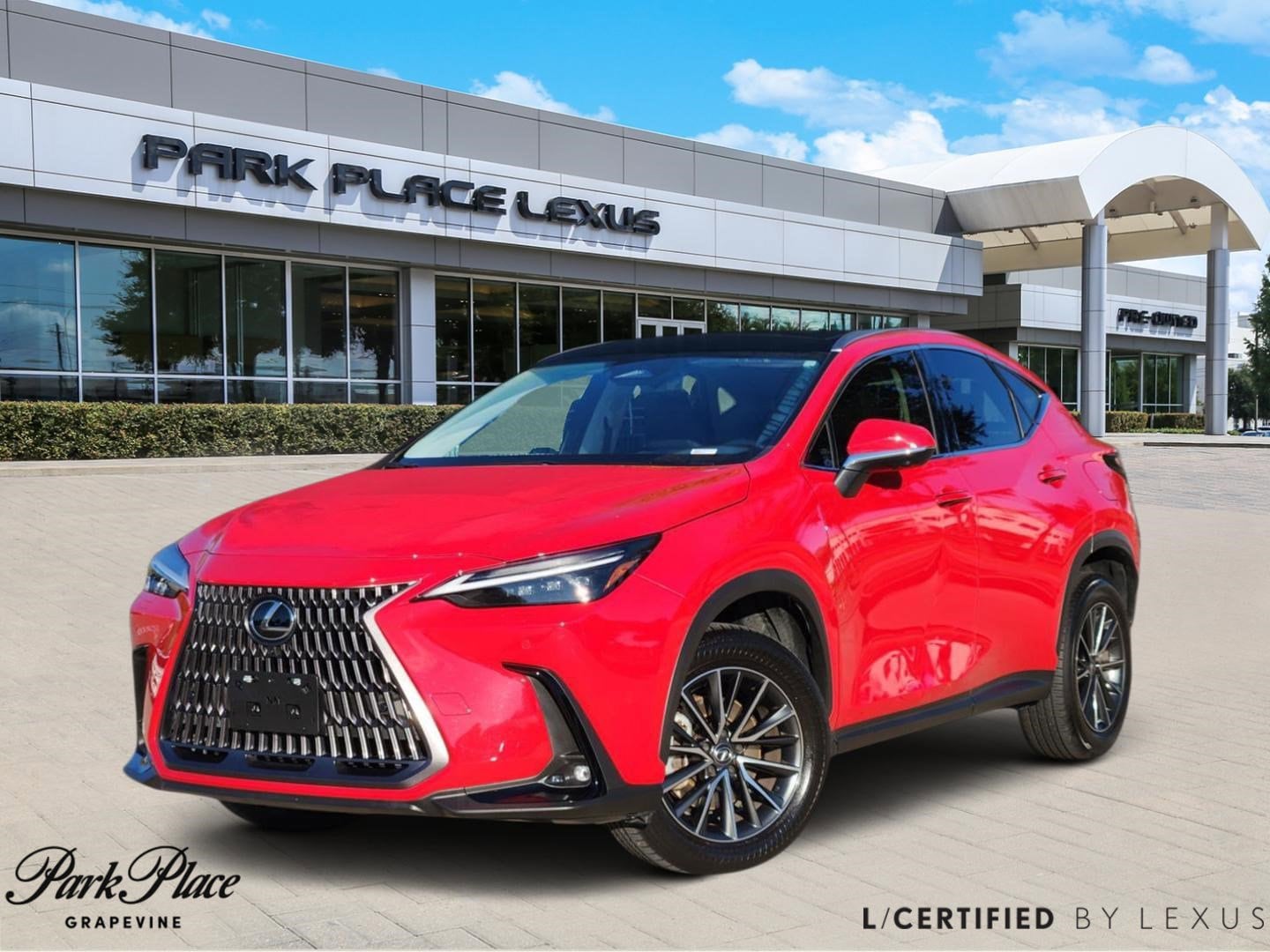 2024 Lexus NX 350's photo