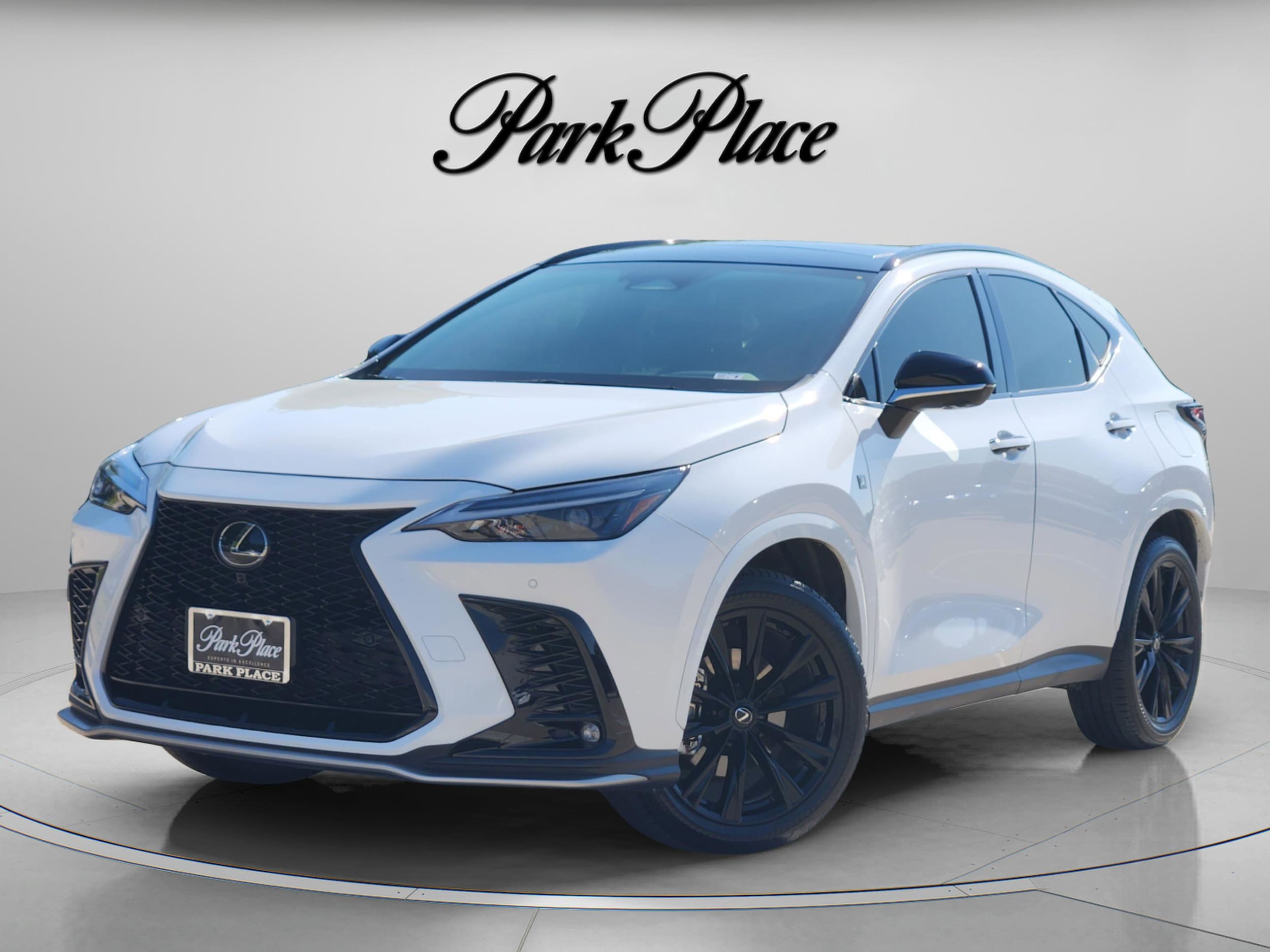 2024 Lexus NX 350 350 F-Sport AWD's photo