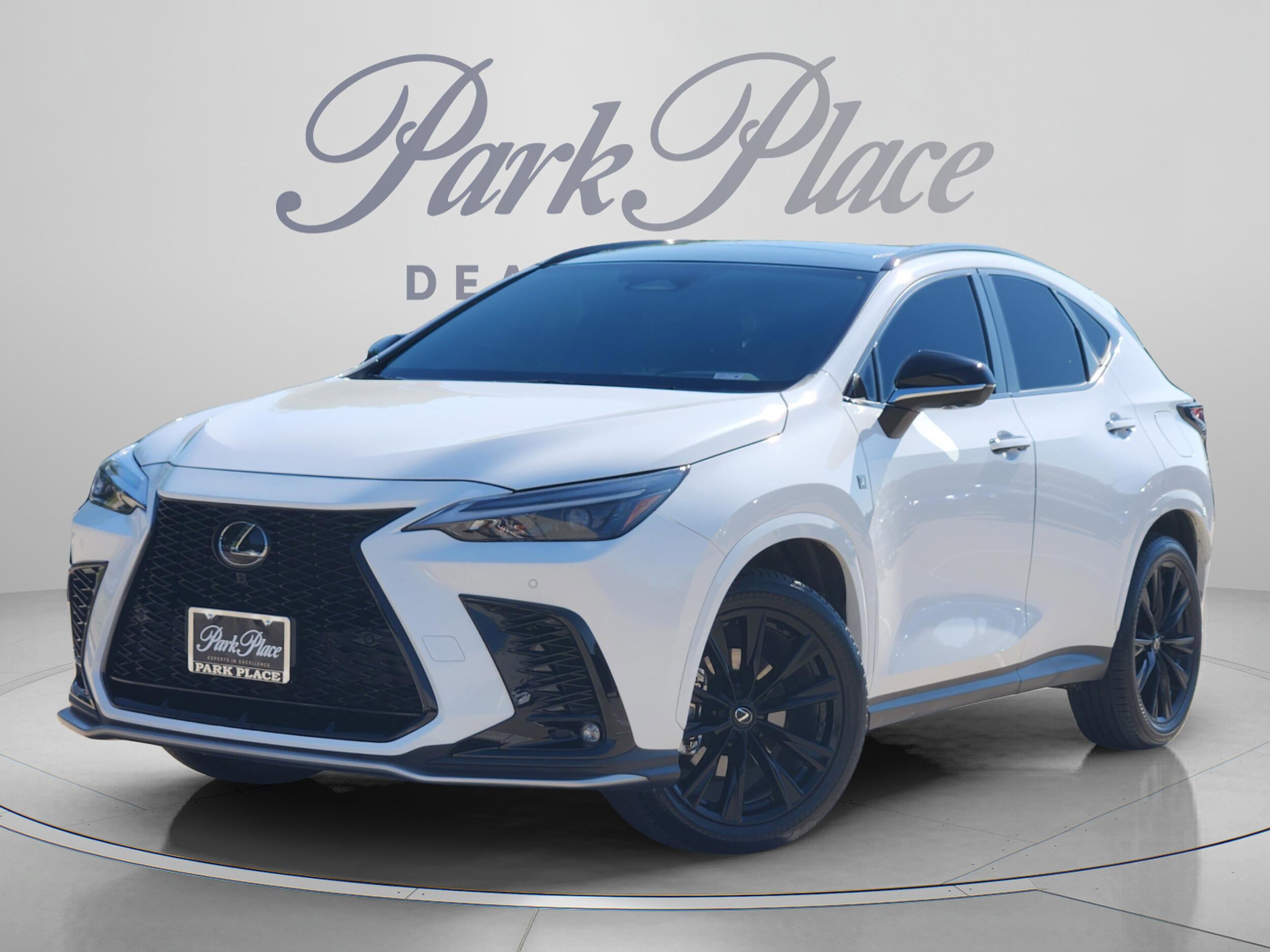 2024 Lexus NX 350 350 F-Sport AWD's photo