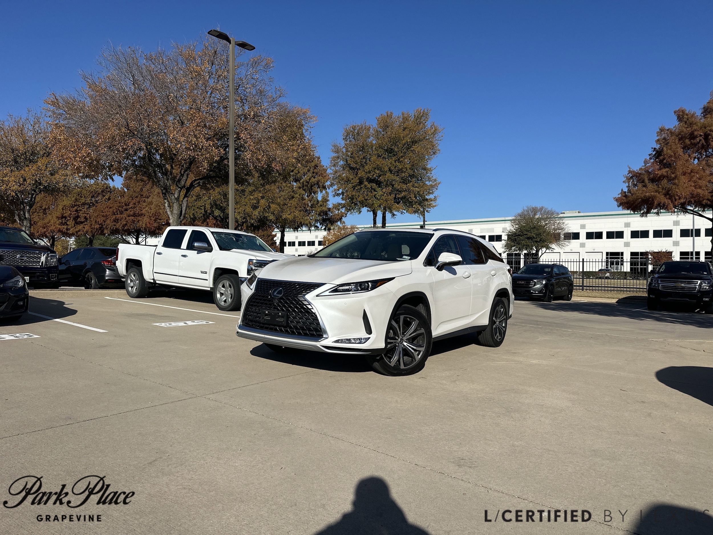 2022 Lexus RX 350's photo