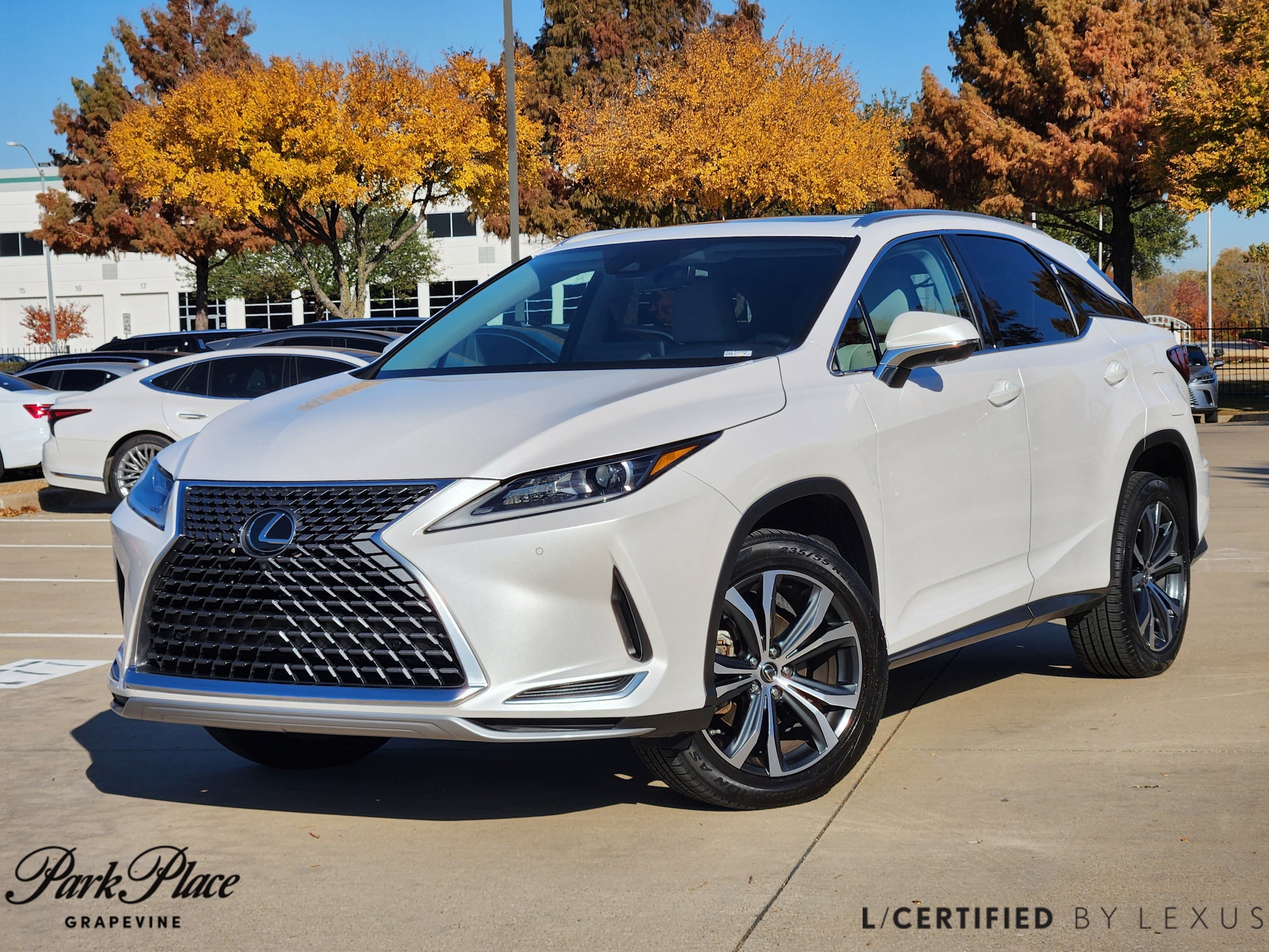 2022 Lexus RX 350's photo