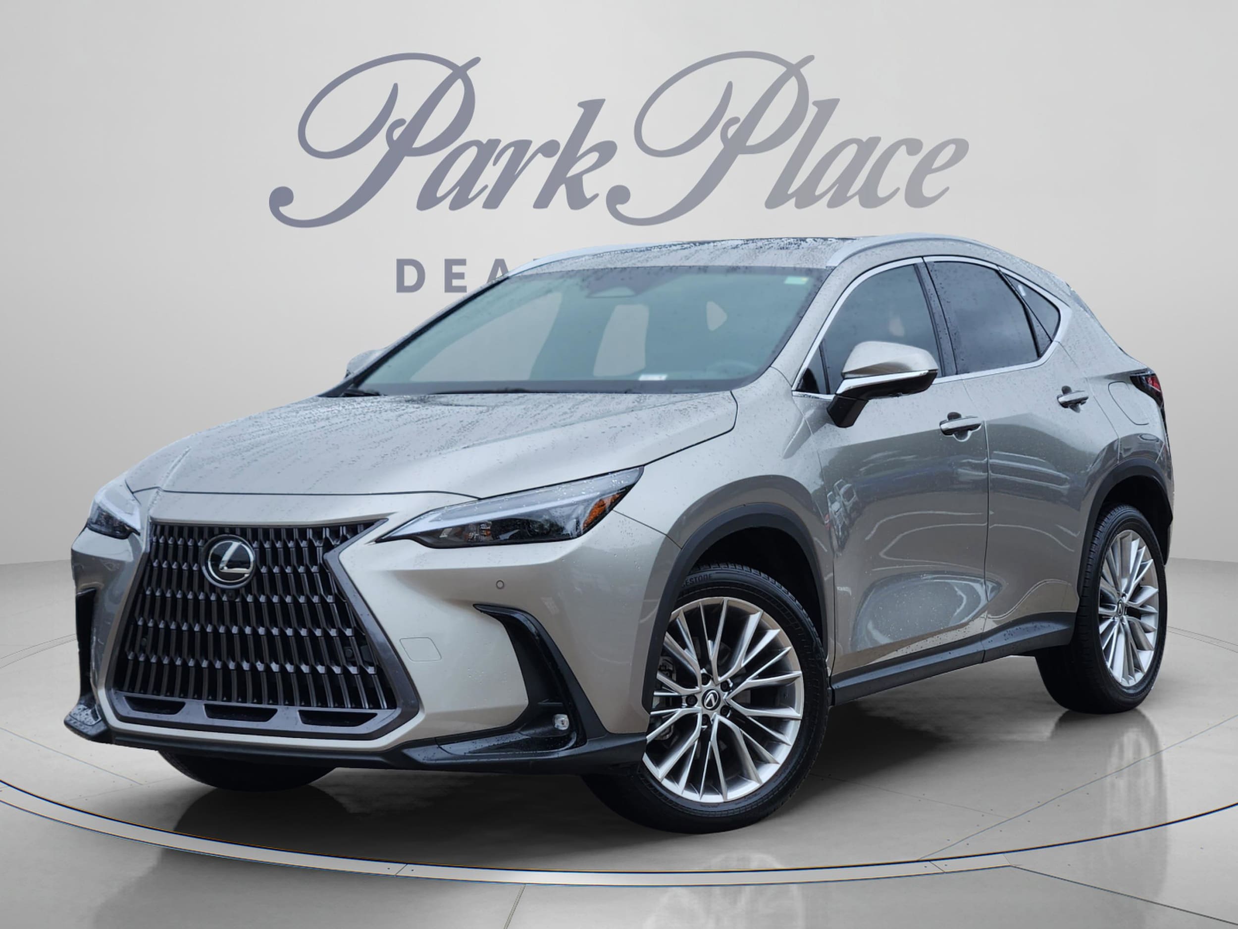 2025 Lexus NX 350 350 Premium AWD's photo