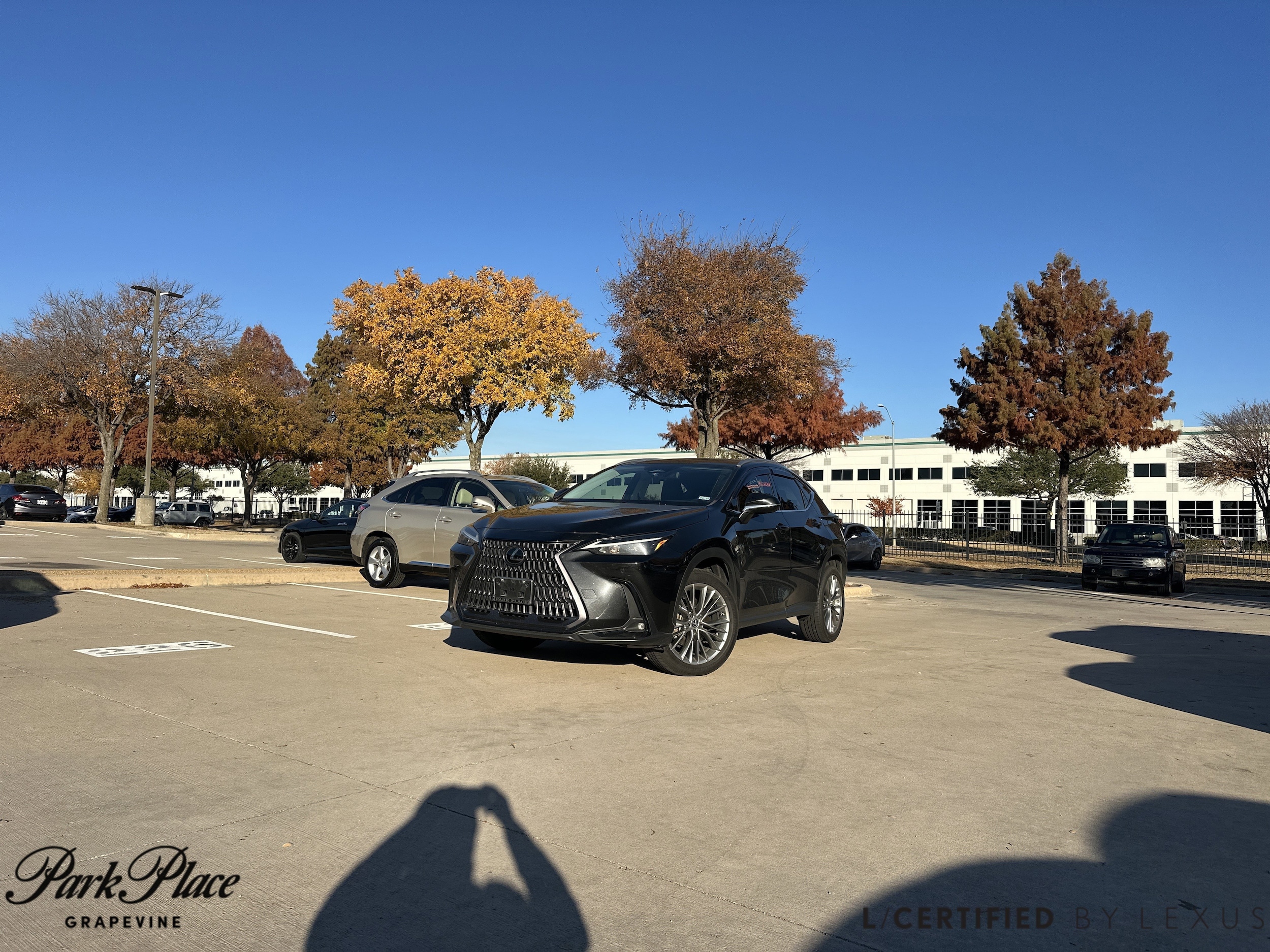 2022 Lexus NX Hybrid 350h's photo