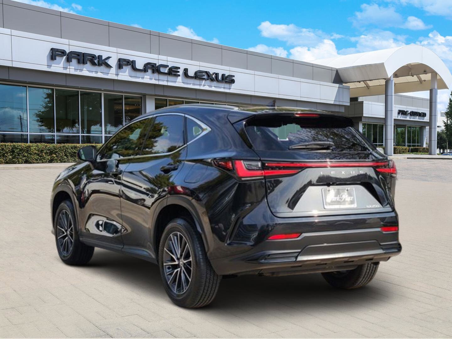 2025 Lexus NX 250 photo 3