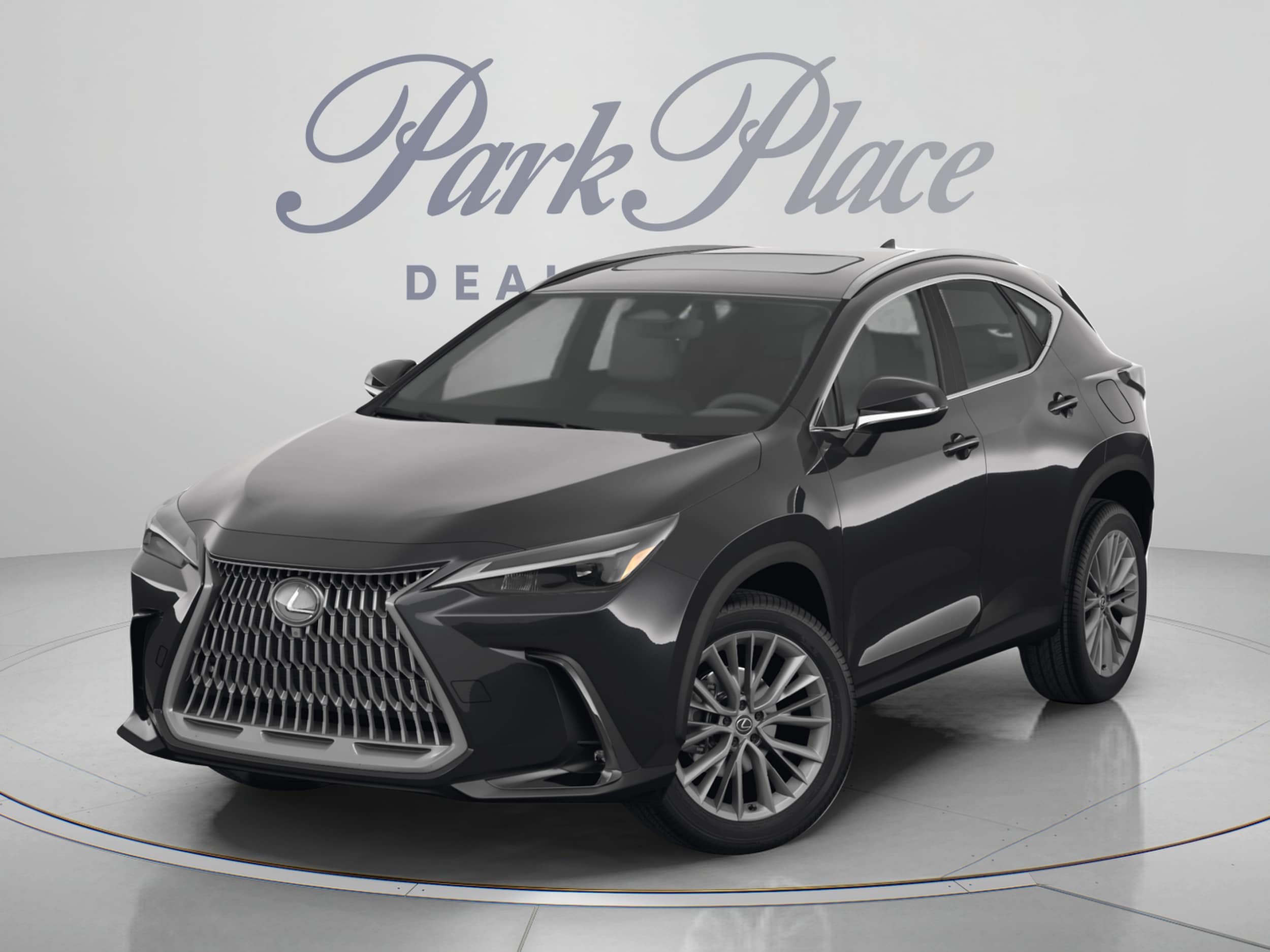 2024 Lexus NX