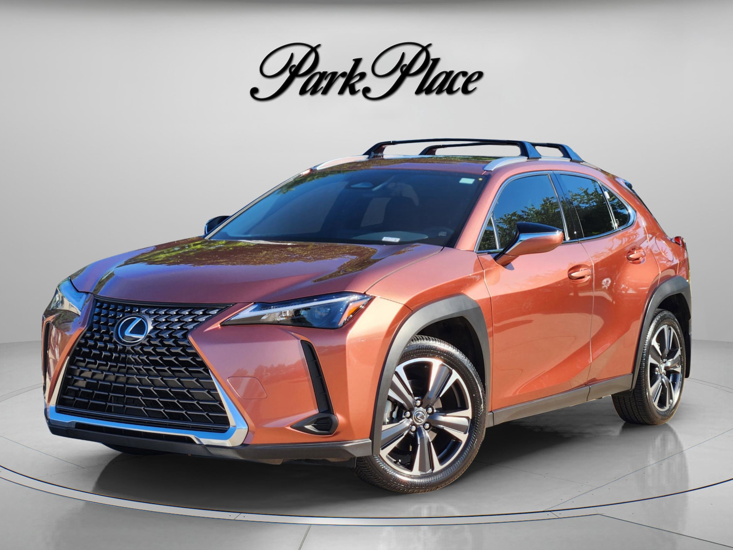 2025 Lexus UX 300h 300h's photo