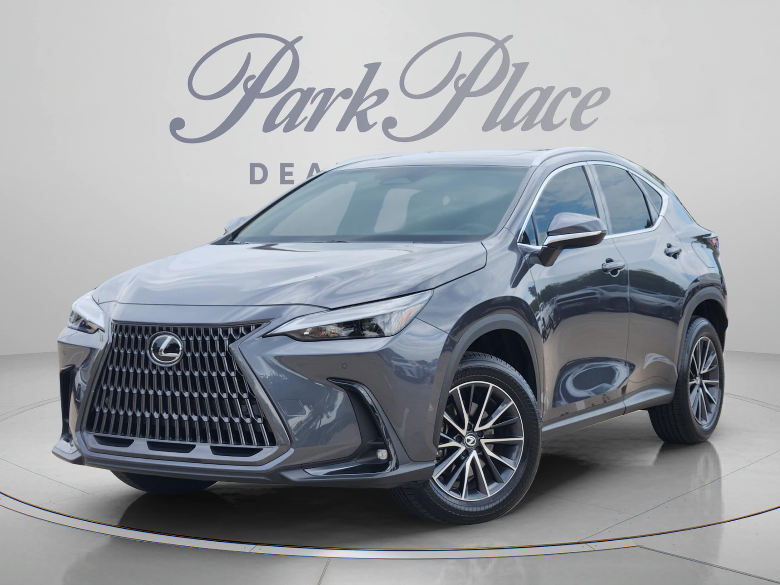 2025 Lexus NX