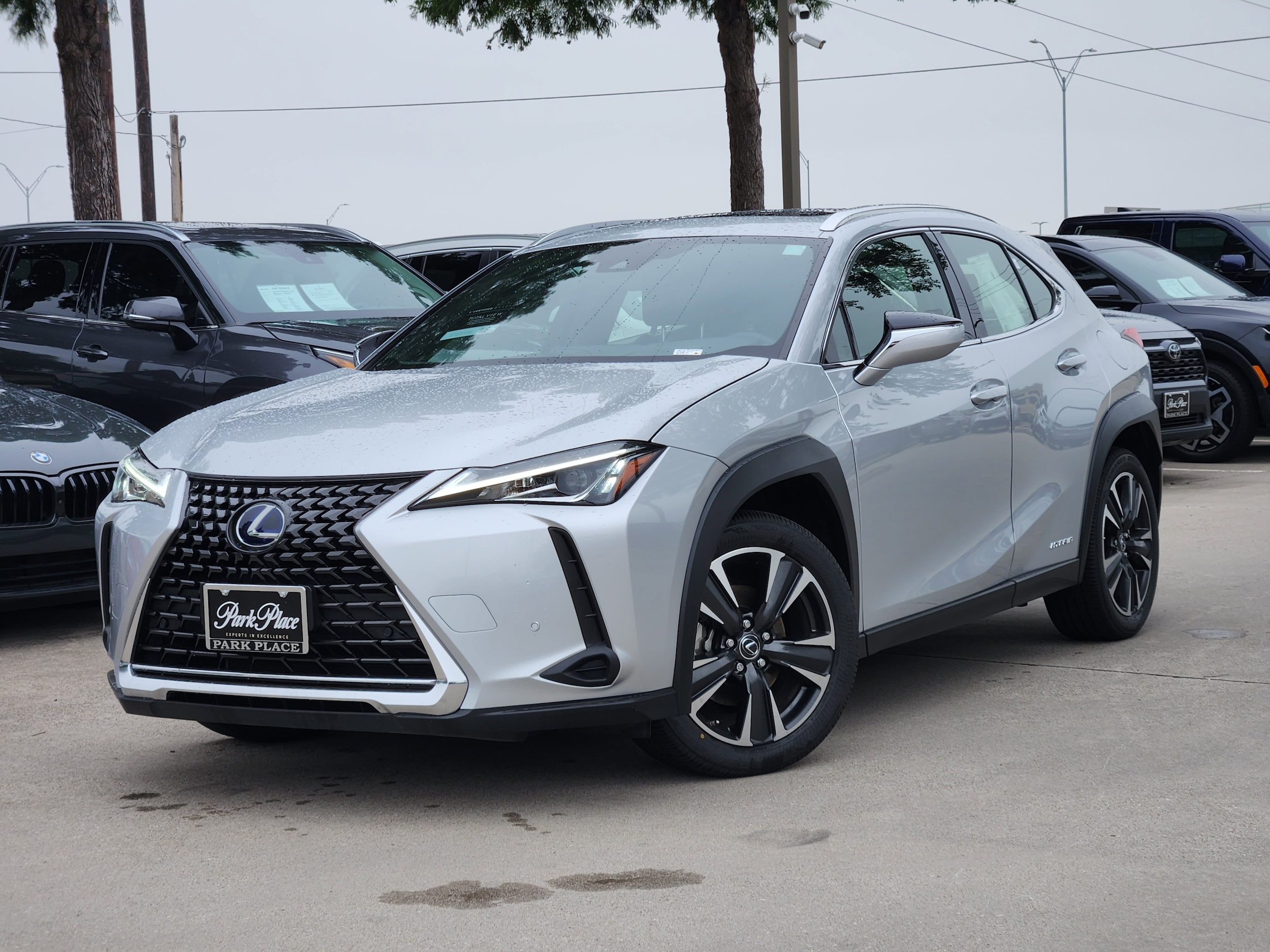 2020 Lexus UX 300h 250h AWD's photo