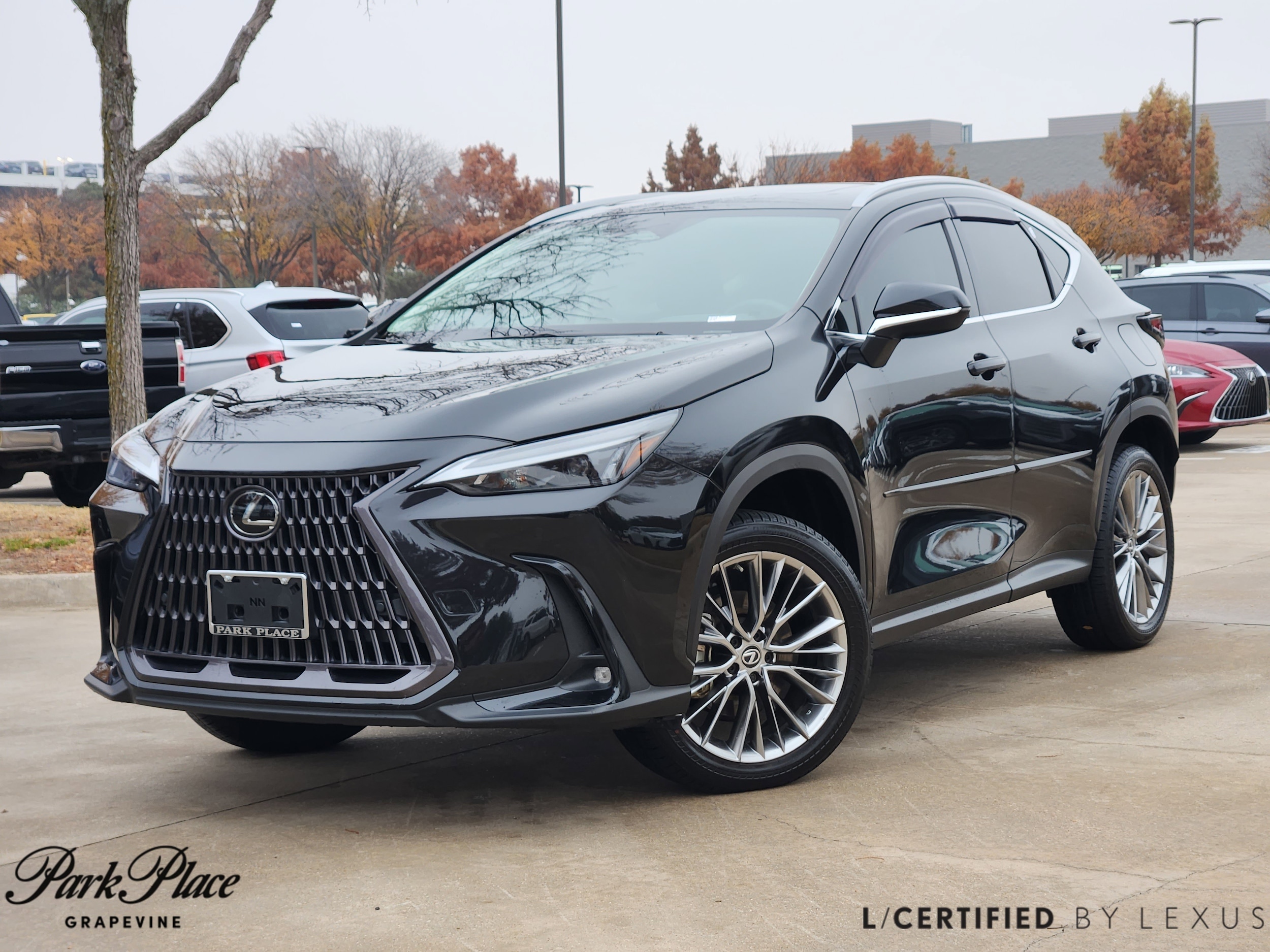 2022 Lexus NX Hybrid 350h's photo