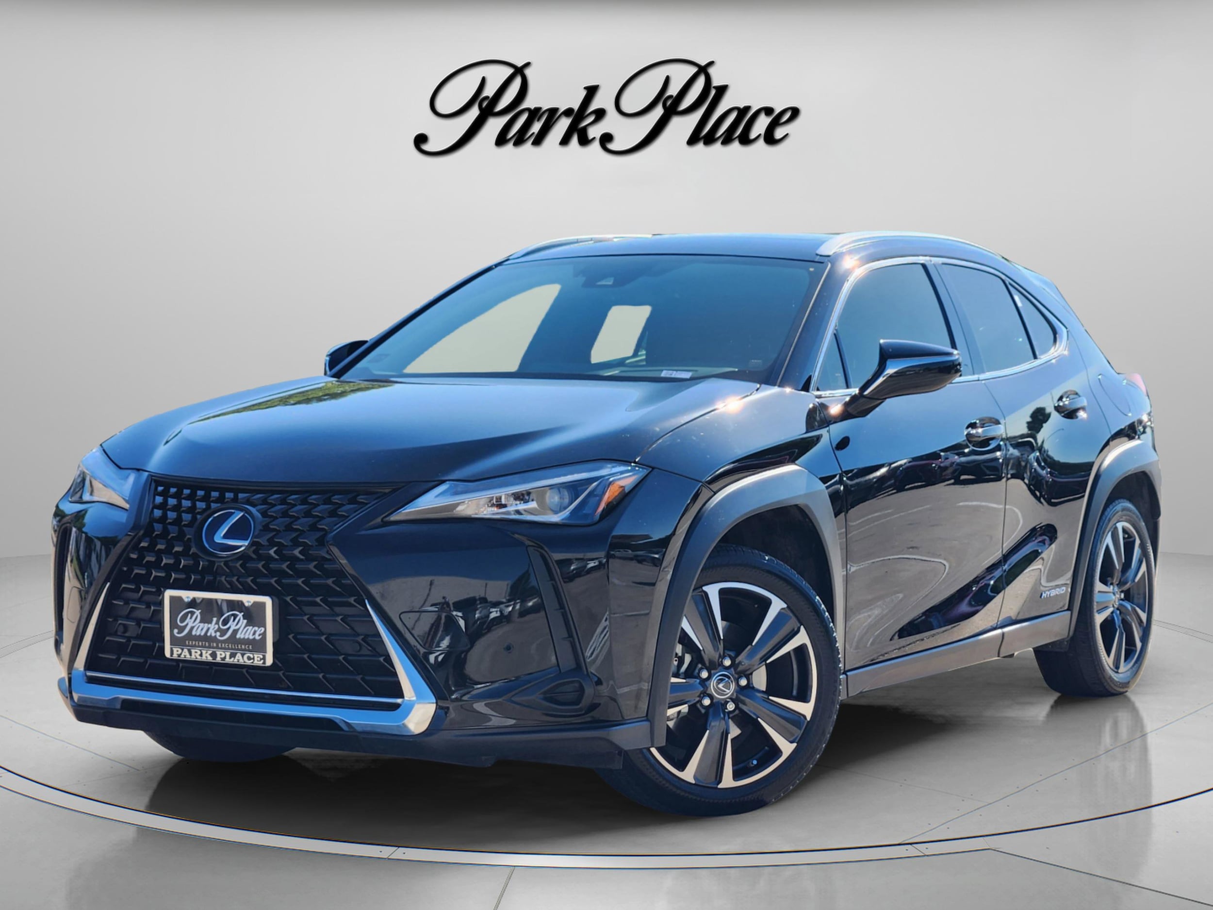 2020 Lexus UX 300h 250h AWD's photo