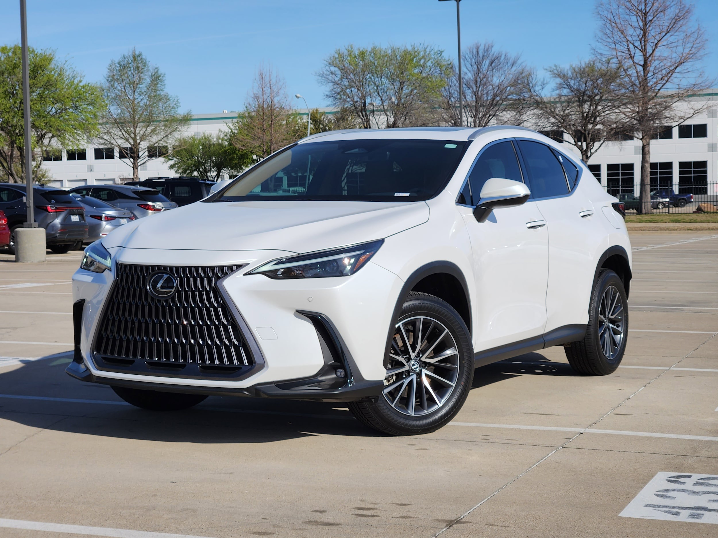 2025 Lexus NX 250