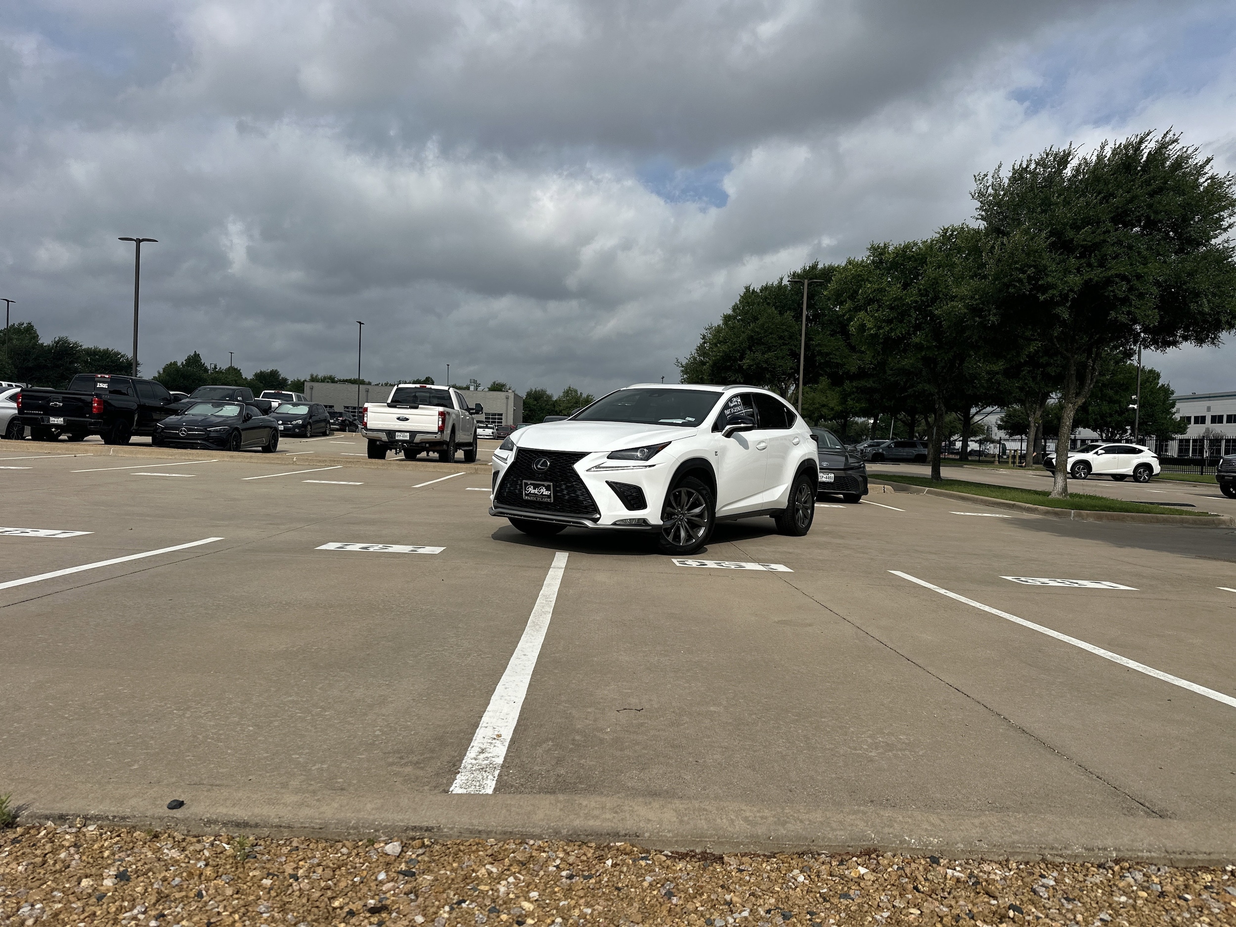 2019 Lexus NX 350 300 F SPORT FWD's photo