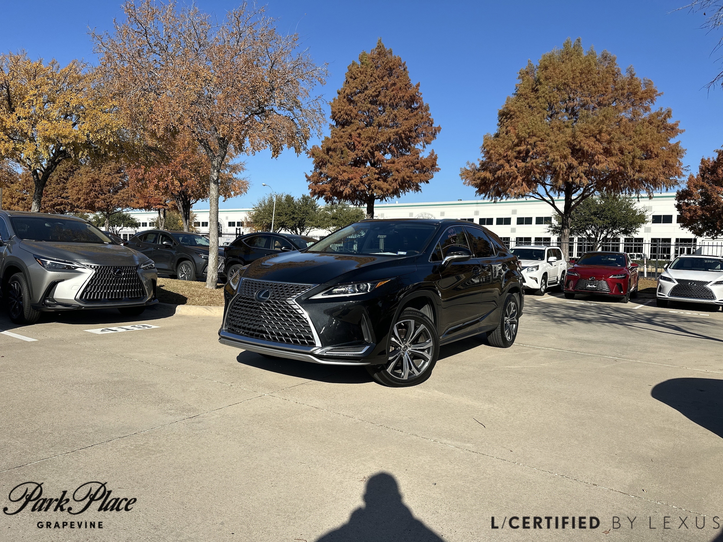 2021 Lexus RX 350's photo