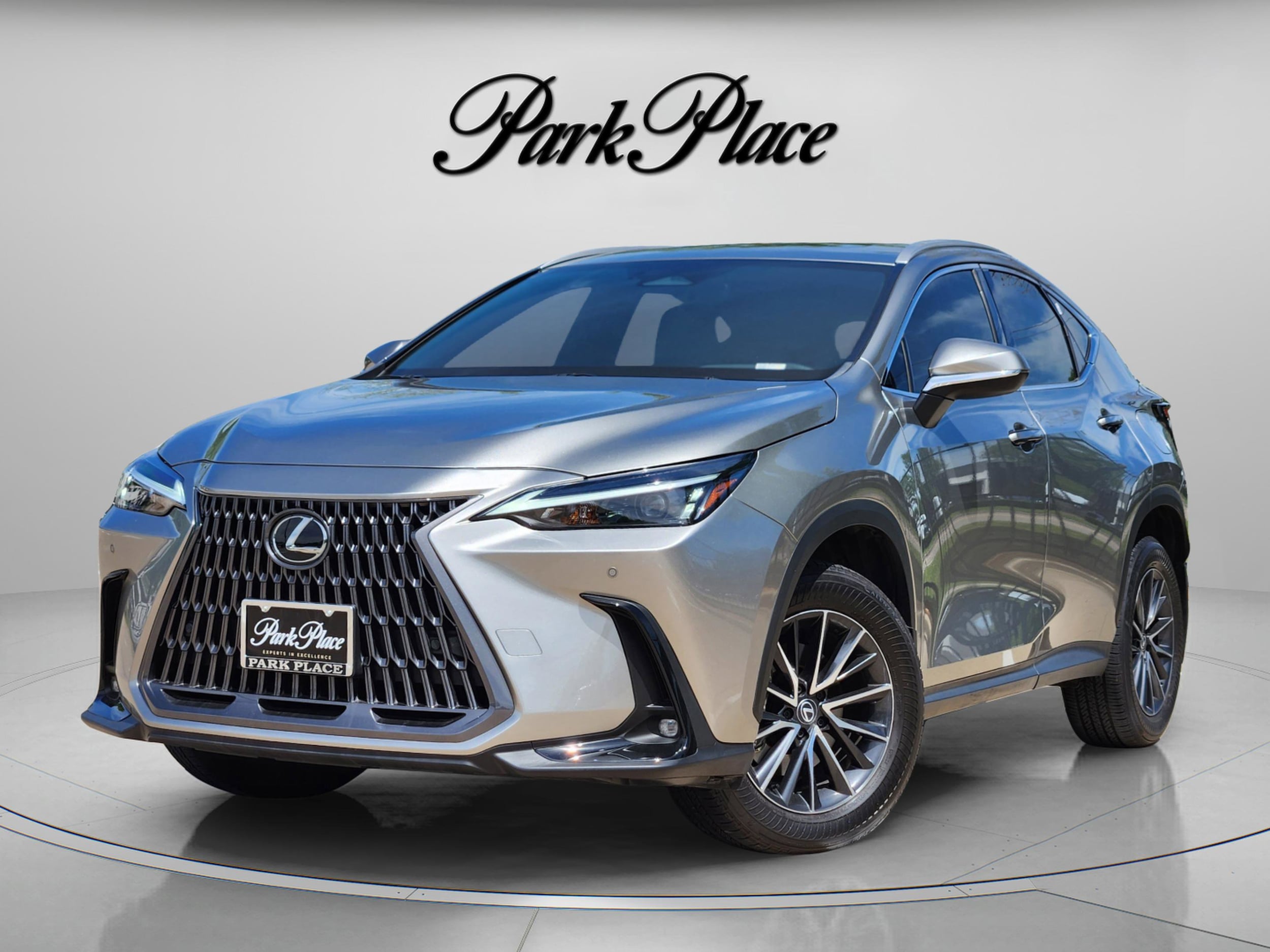 2024 Lexus NX