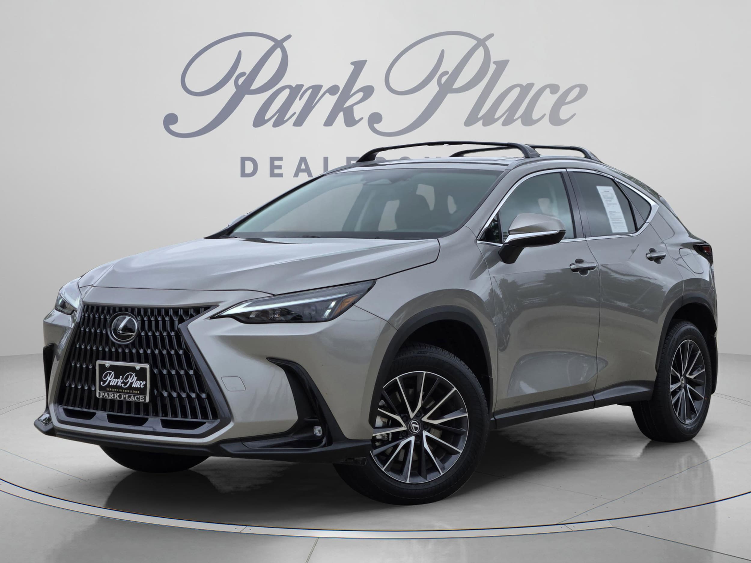 2024 Lexus NX 350h 350h AWD's photo