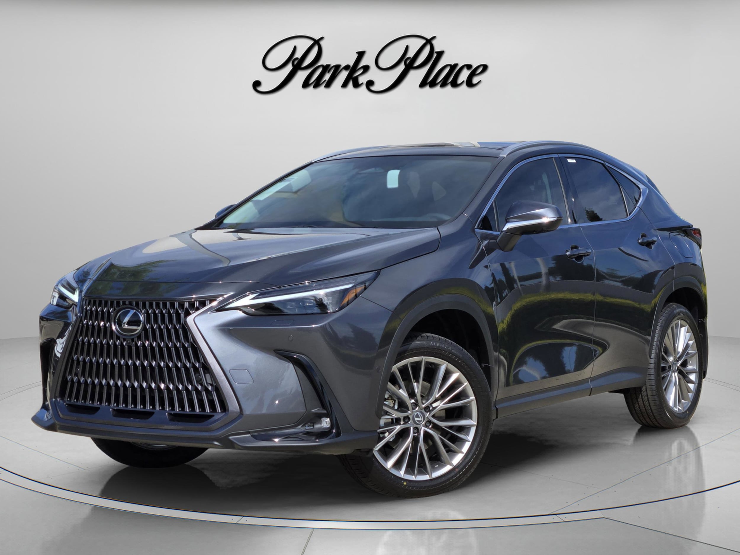 2026 Lexus NX 350h 350h Luxury AWD's photo