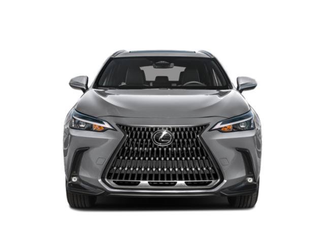 Used 2024 Lexus NX NX 250 SUV