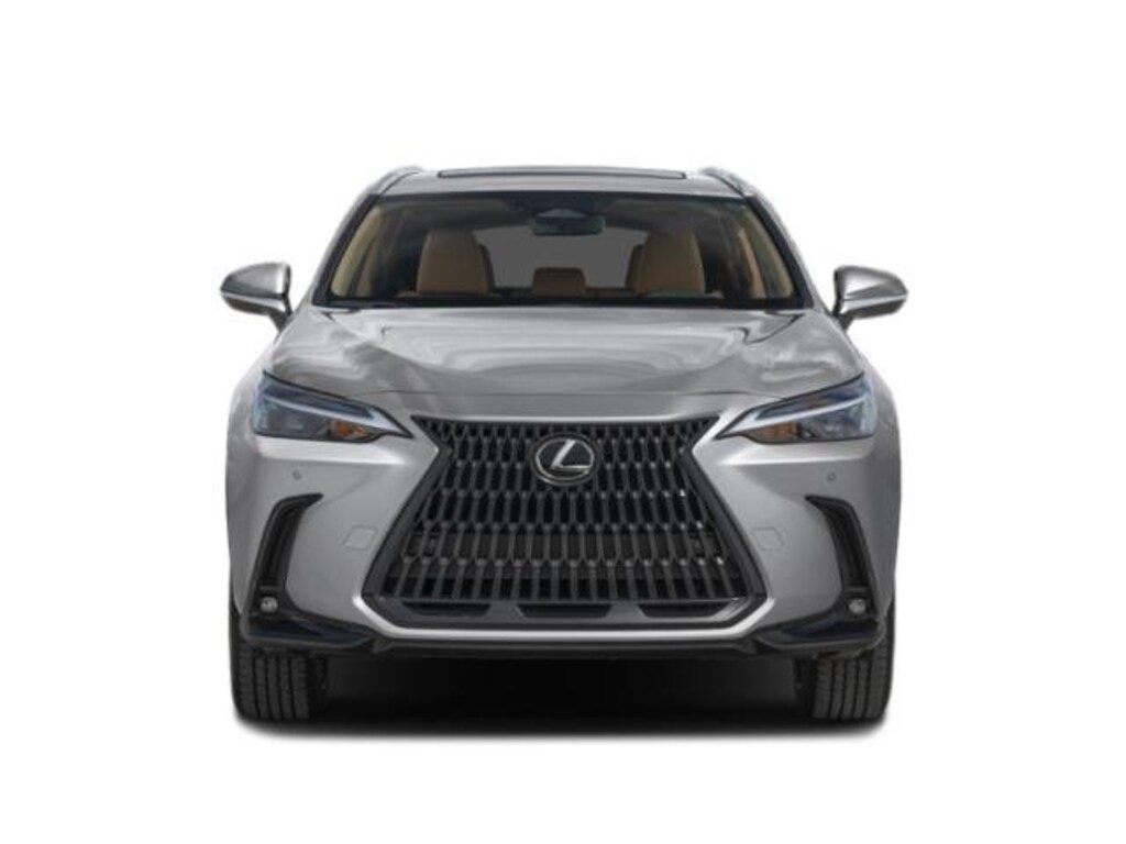 Used 2025 Lexus NX NX 250 Premium SUV