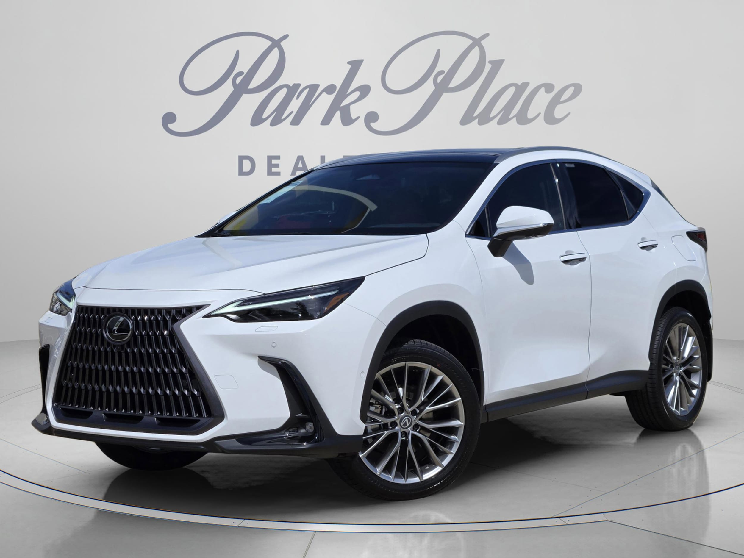 2026 Lexus NX 350h 350h Luxury AWD's photo