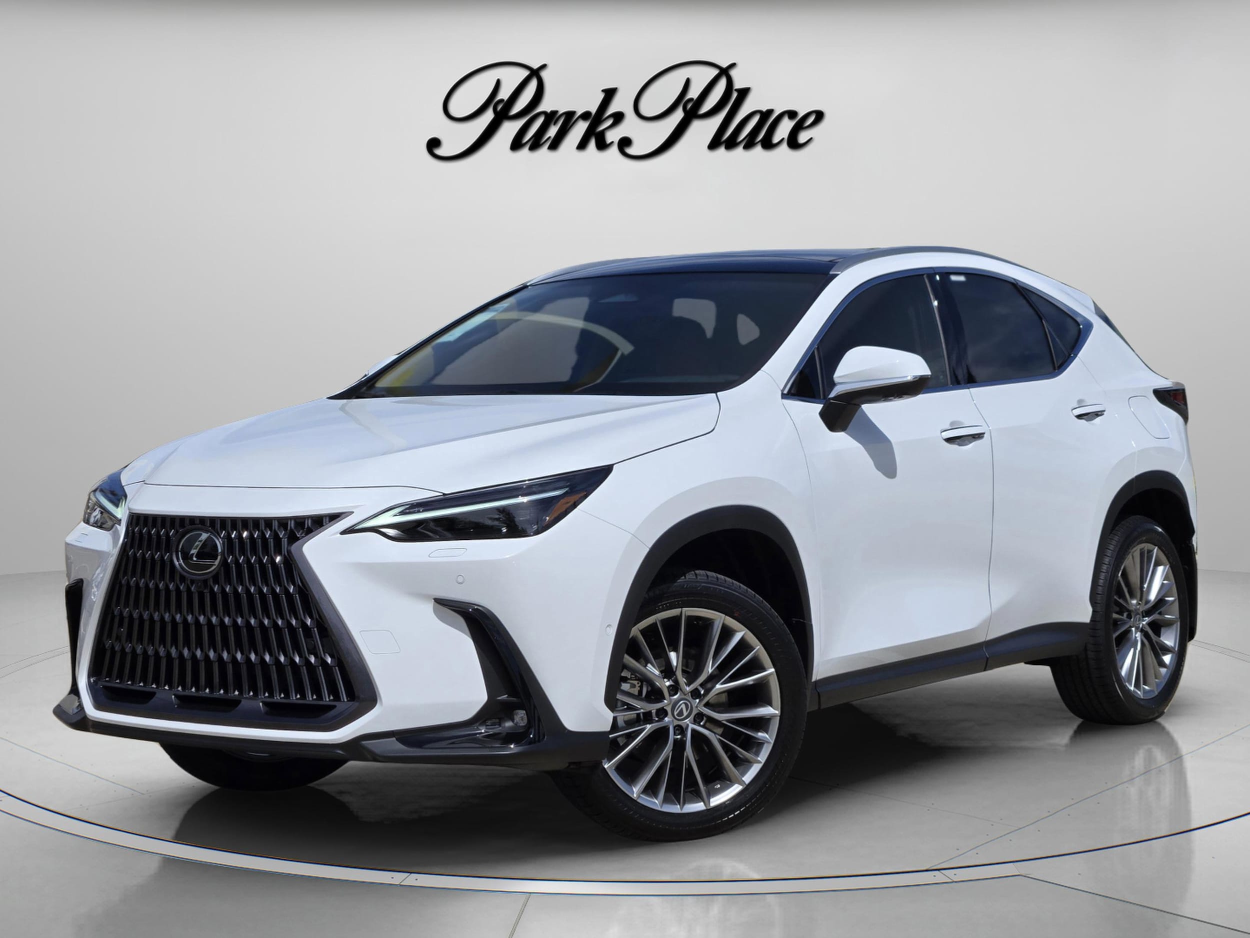 2026 Lexus NX 350h 350h Luxury AWD's photo