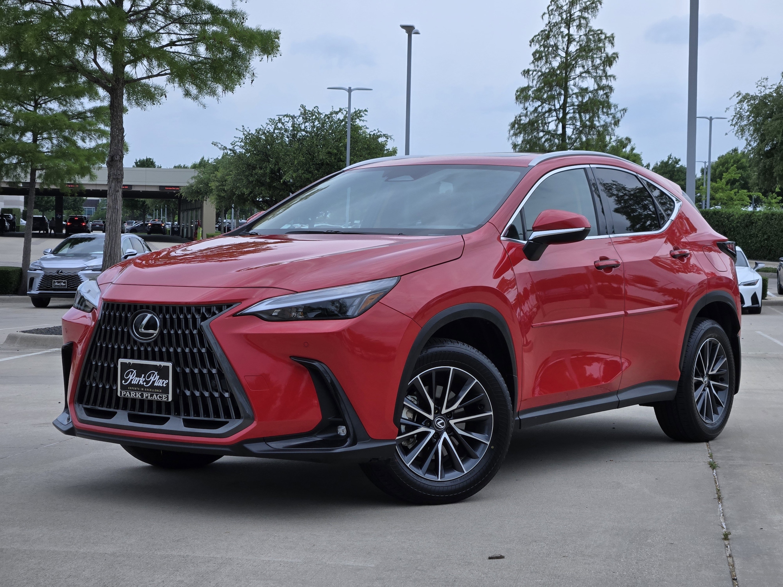 2025 Lexus NX 350h 350h Premium AWD's photo