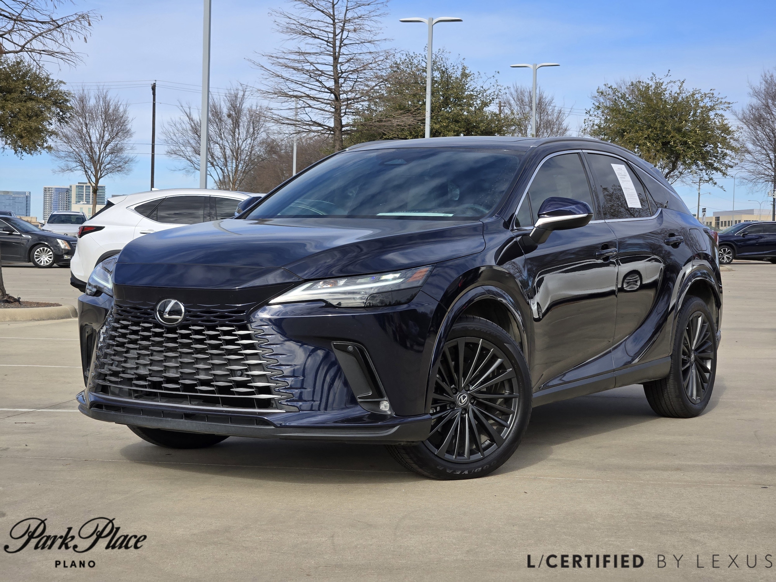 2024 Lexus RX 350's photo