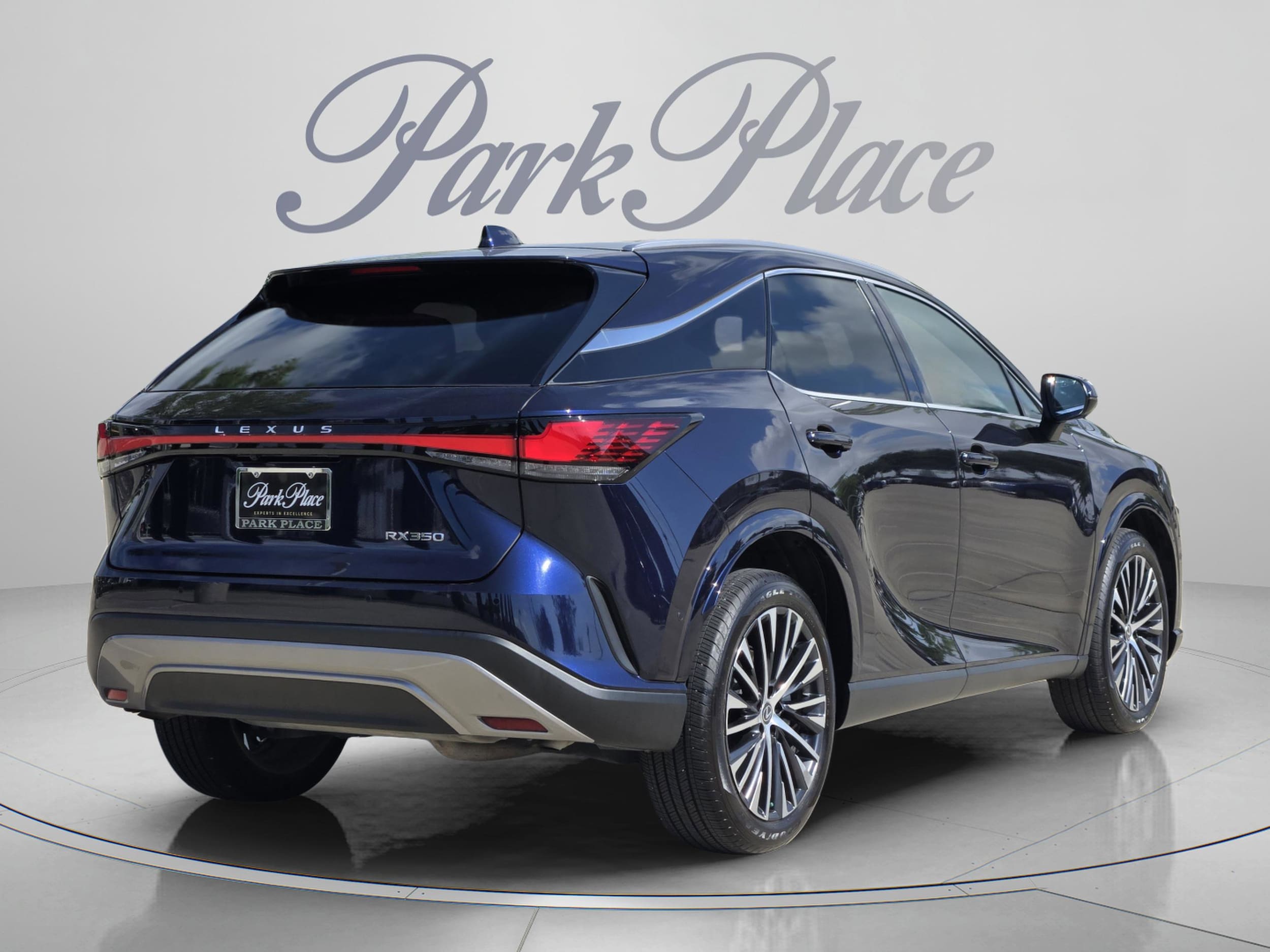 2025 Lexus RX 350 - Photo 6