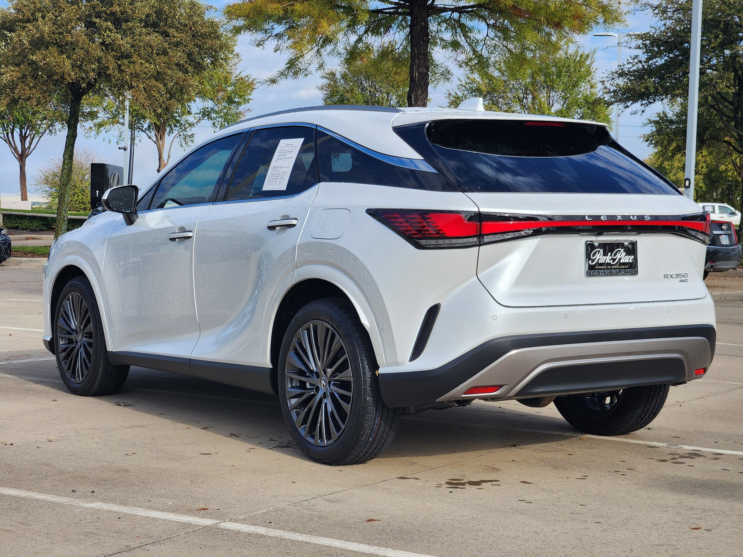 2025 Lexus RX 350 Luxury photo 4