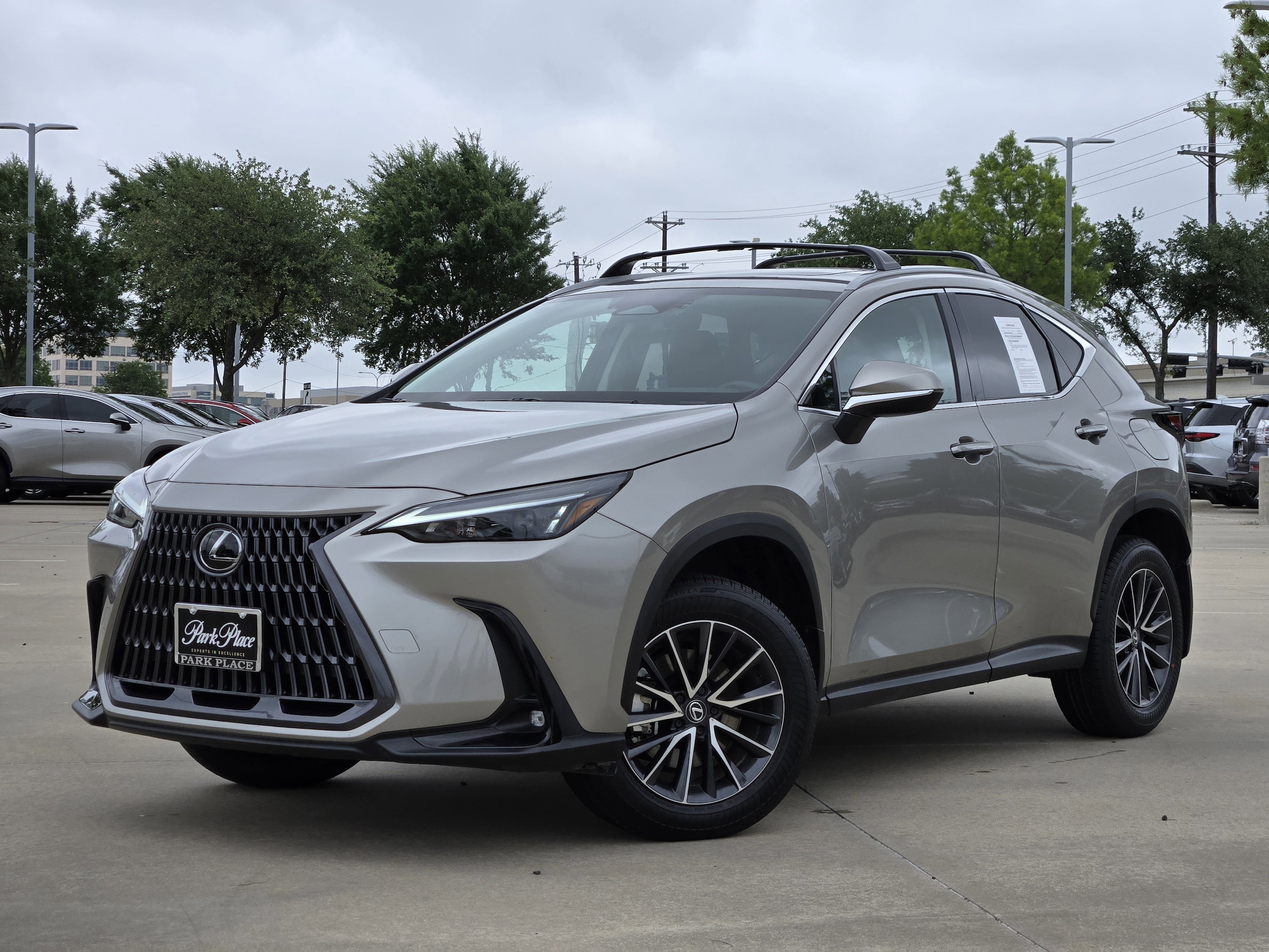 2024 Lexus NX 350h 350h AWD's photo