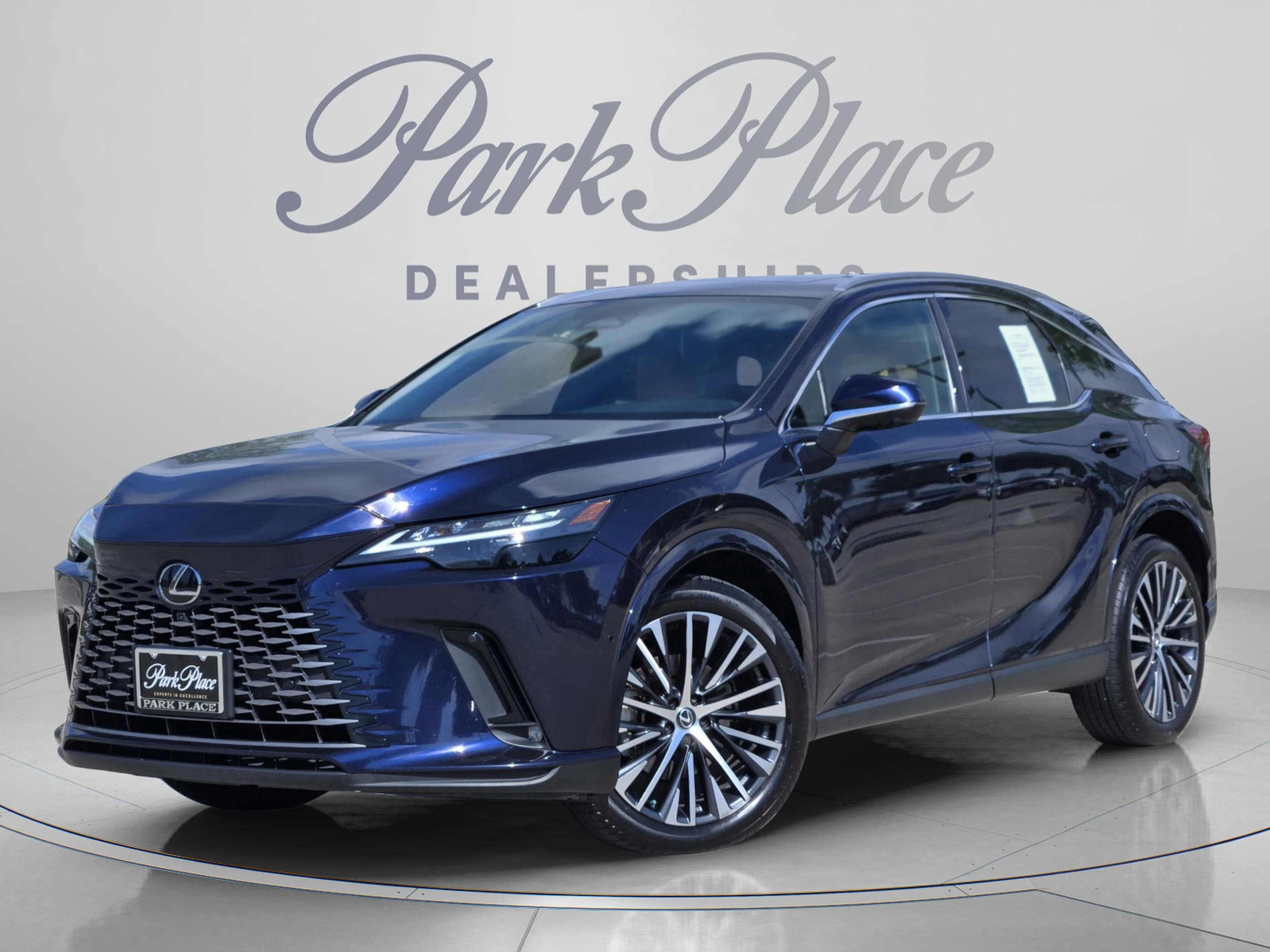 2025 Lexus RX