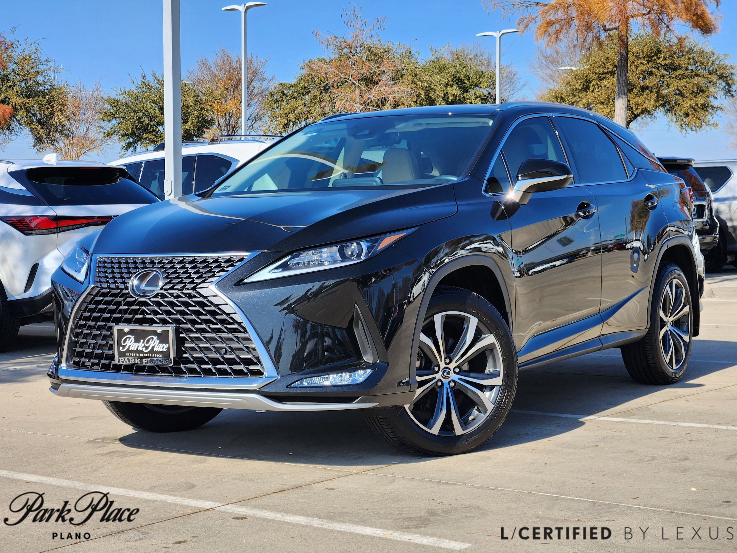 2022 Lexus RX 350's photo