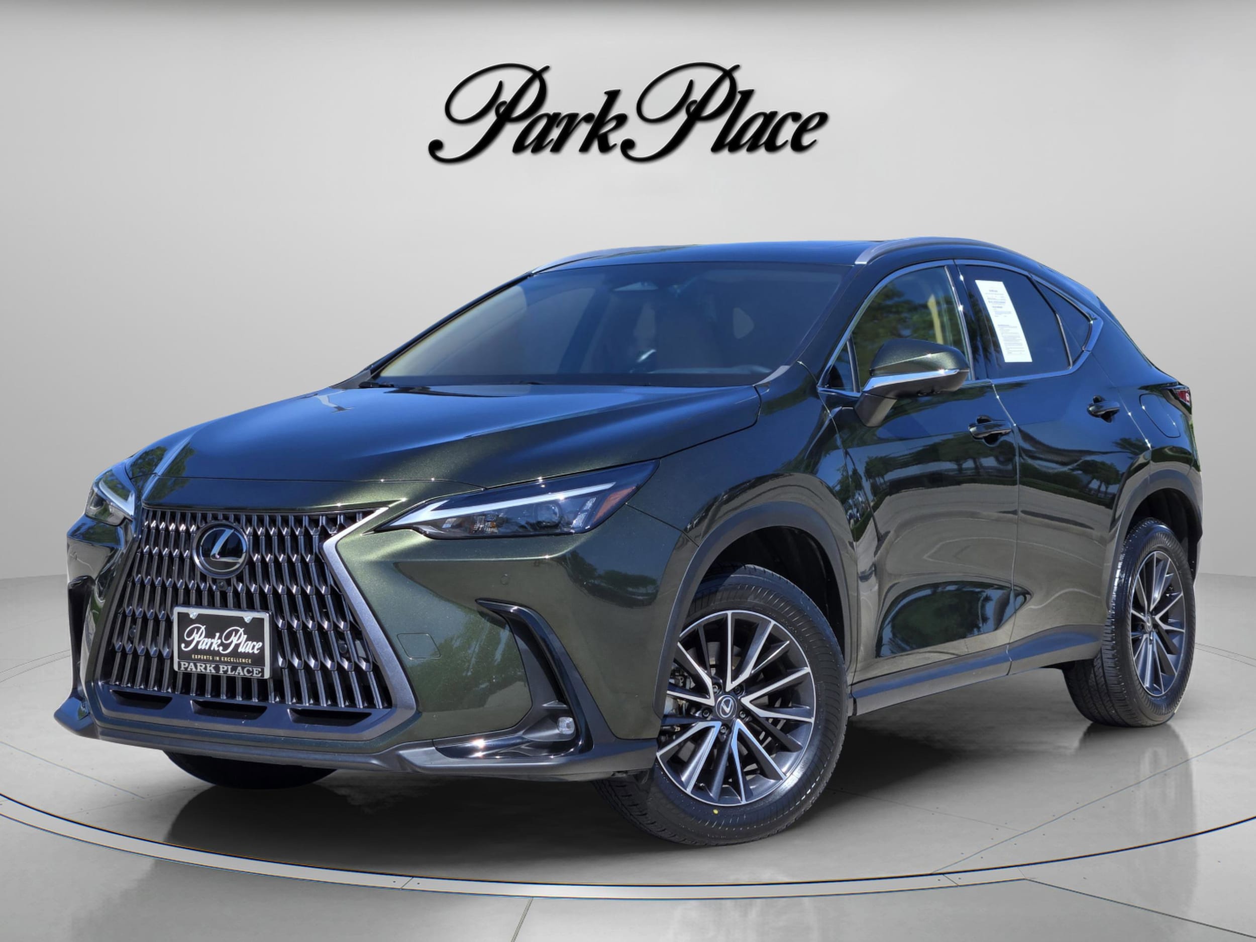 2024 Lexus NX 350h 350h Premium AWD's photo
